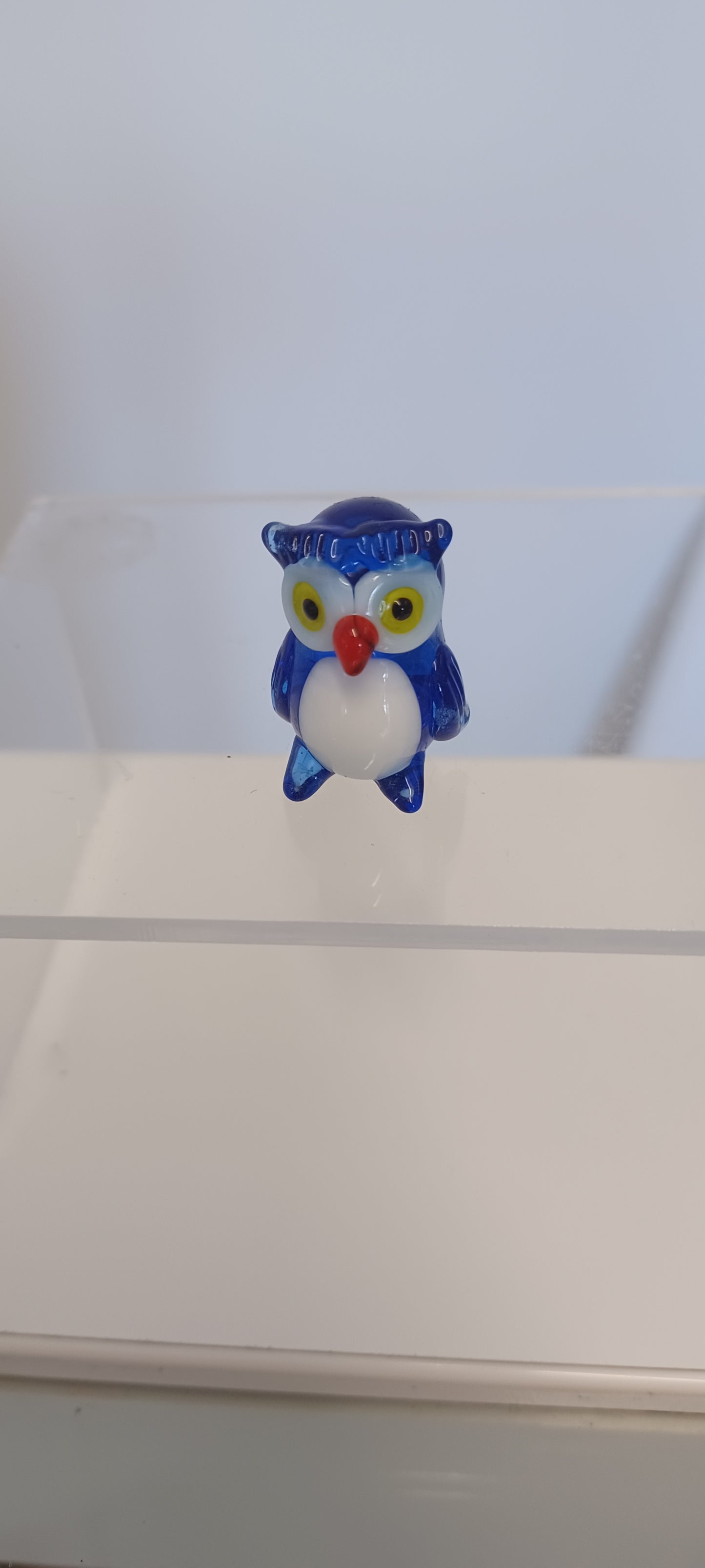 Glass Owl