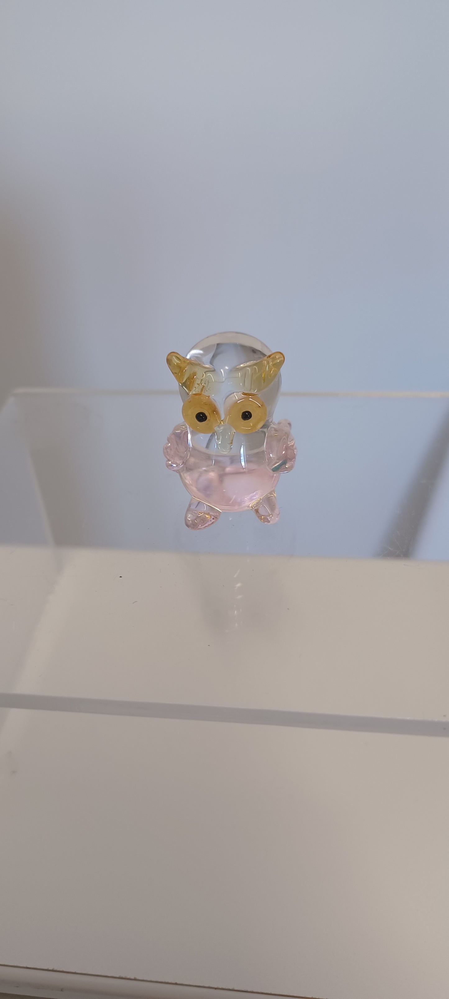 Glass Owl