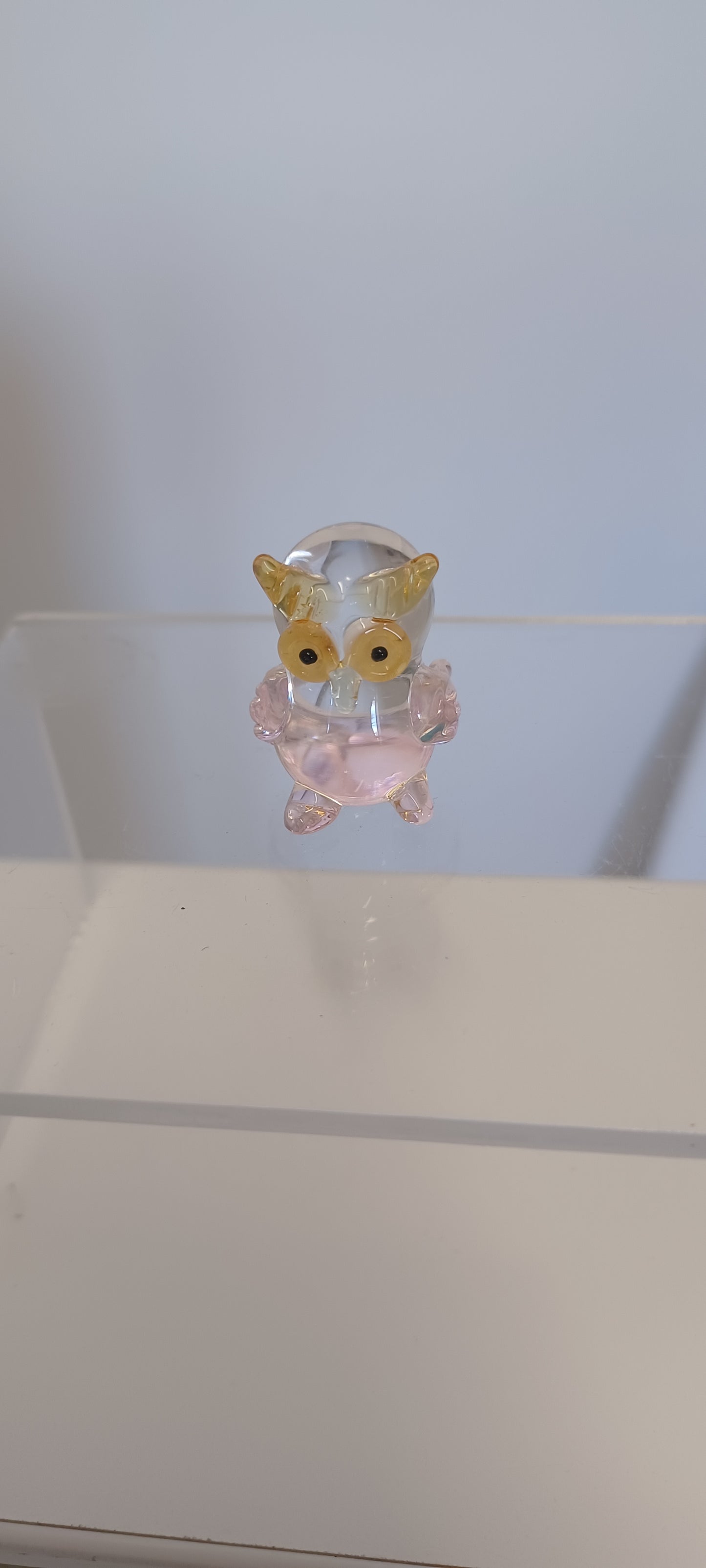 Glass Owl