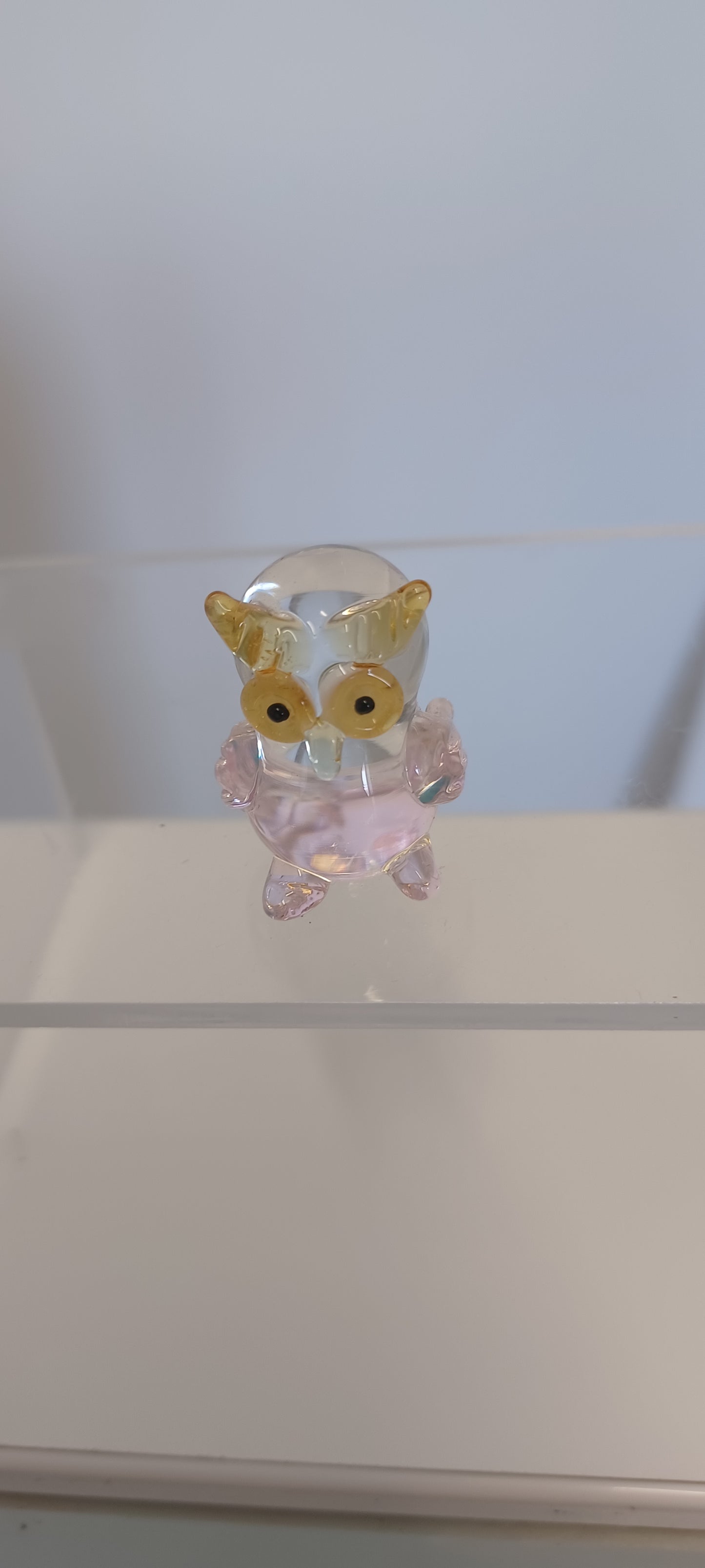 Glass Owl