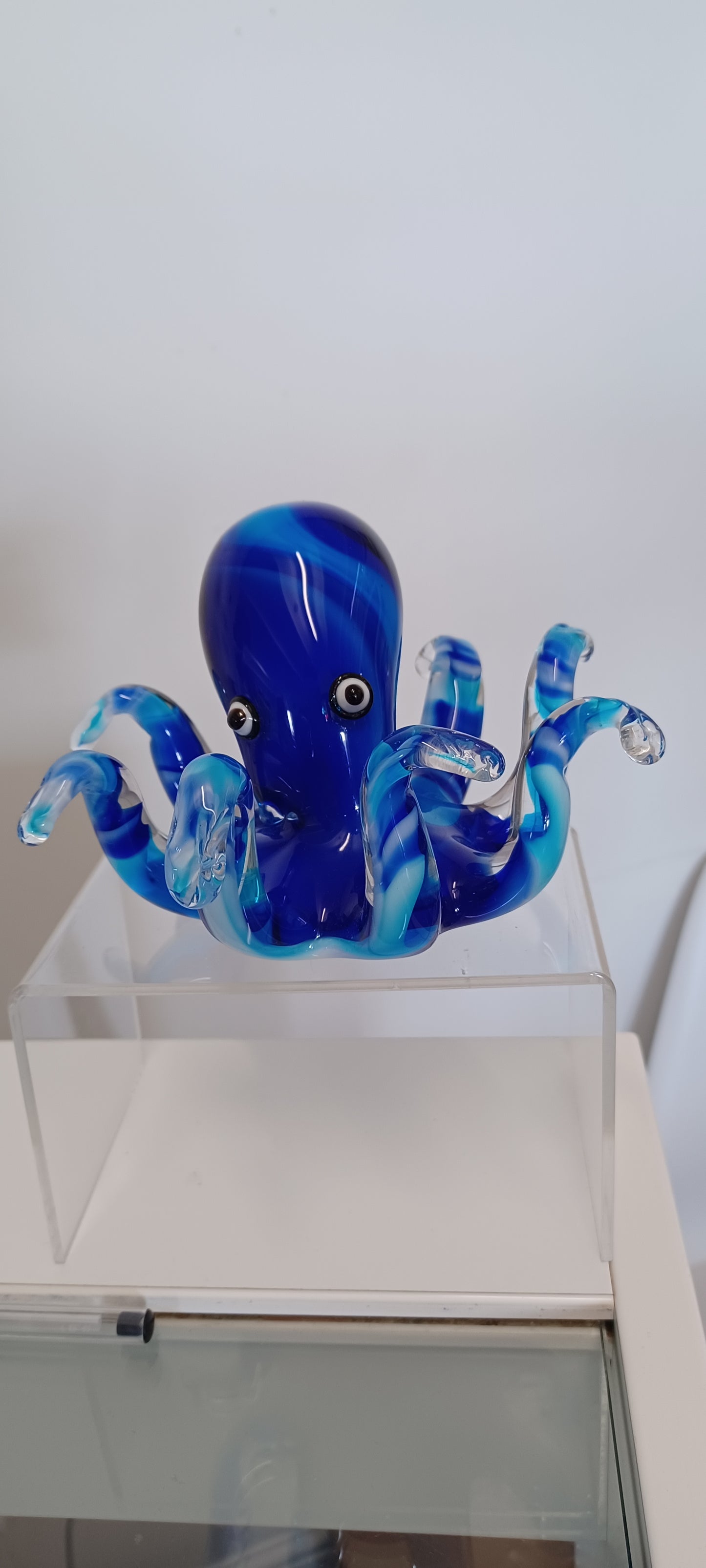 Glass Octopus