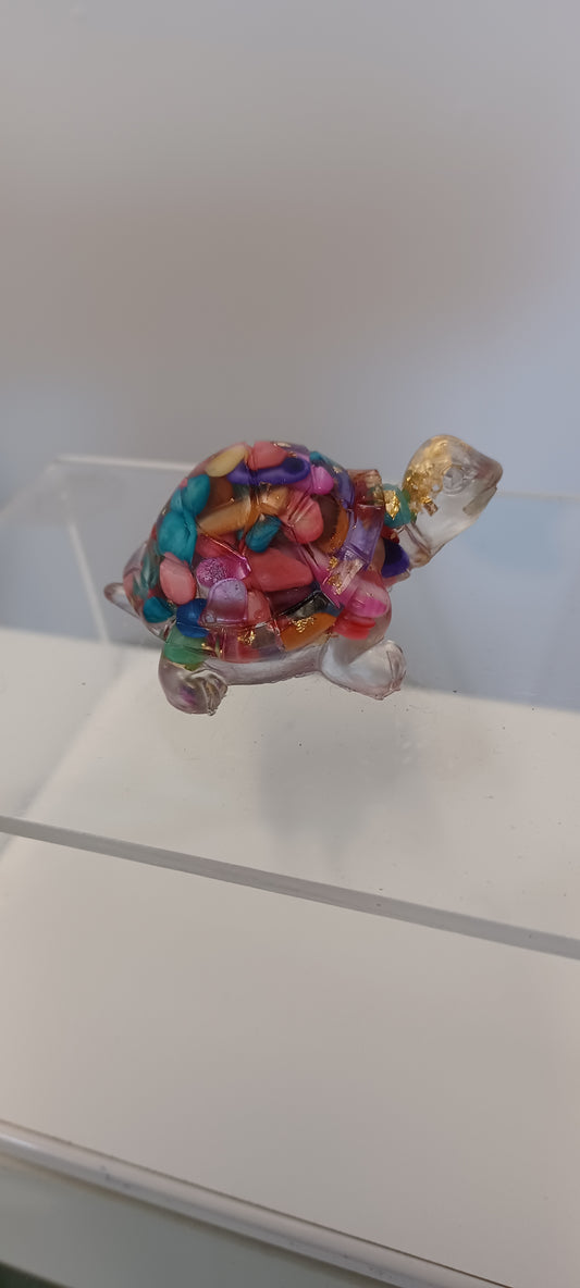 Glass Tortoise
