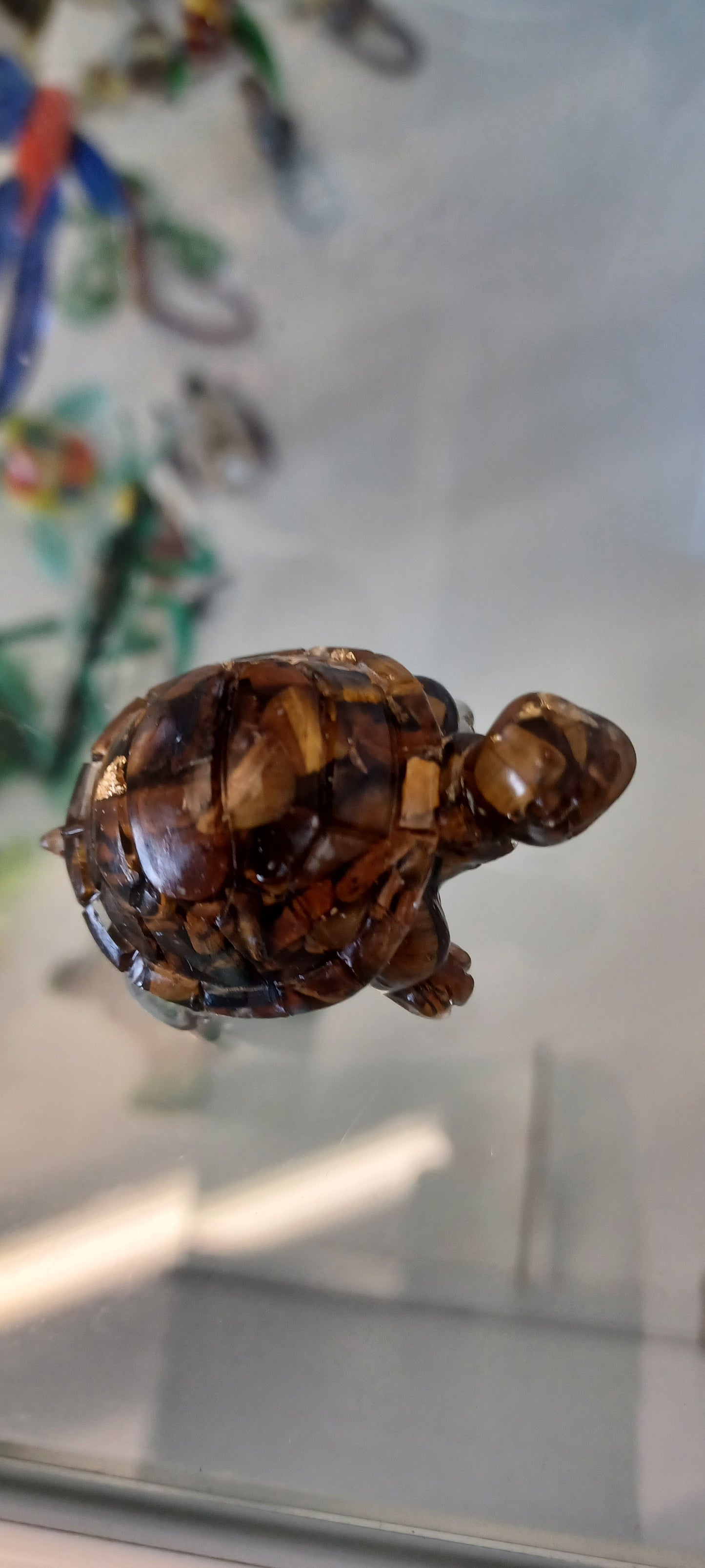 Glass Tortoise