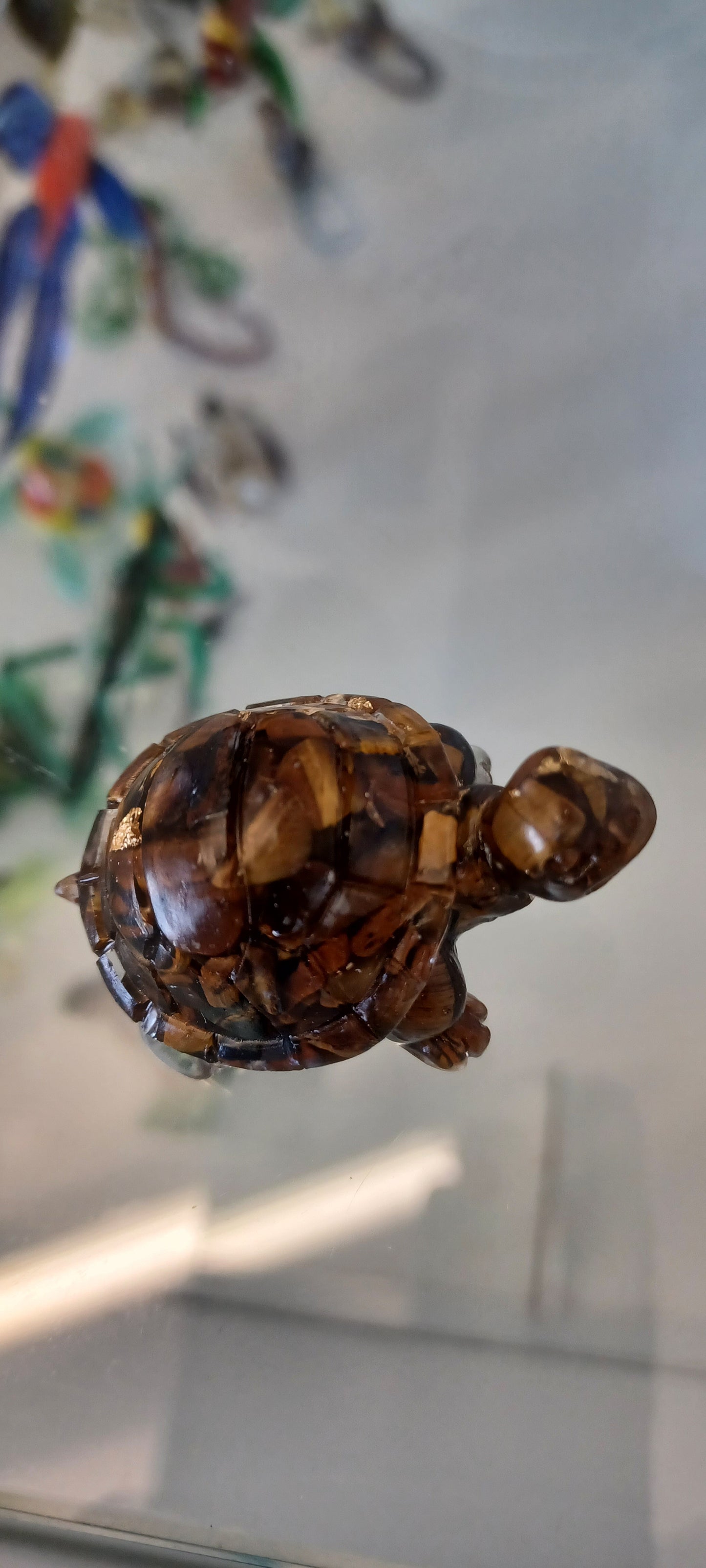 Glass Tortoise