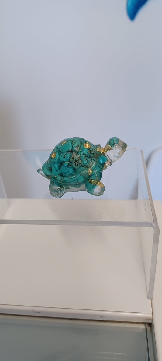 Glass Tortoise