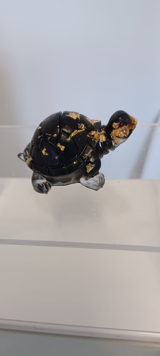 Glass Tortoise