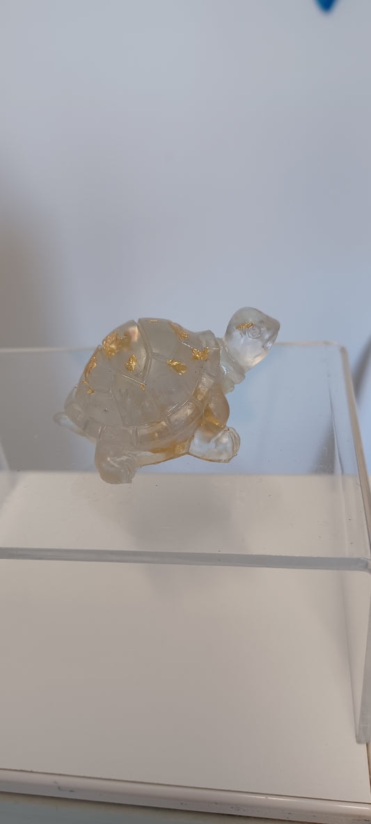 Glass Tortoise