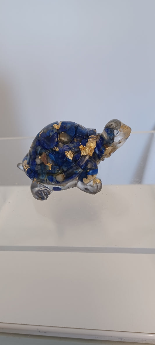 Glass Tortoise