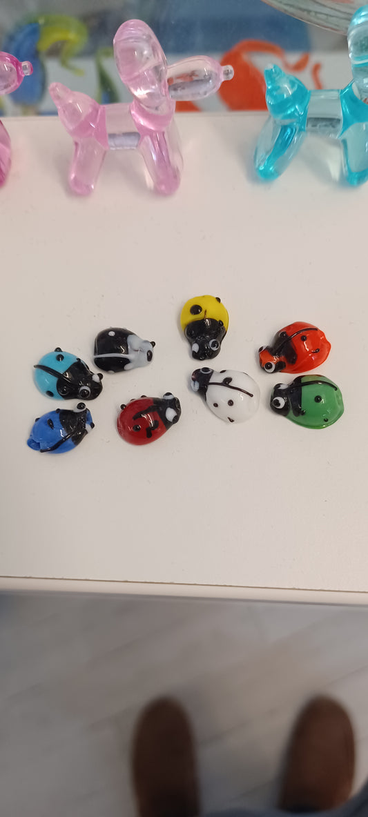 Glass Ladybird