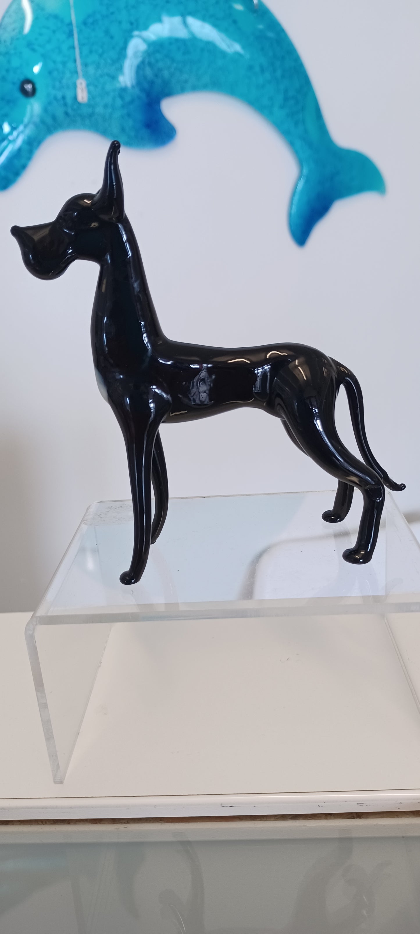 Glass Dog
