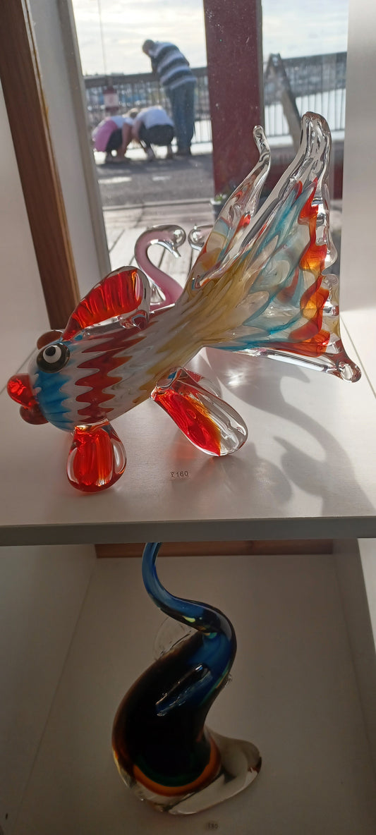 Glass Fish