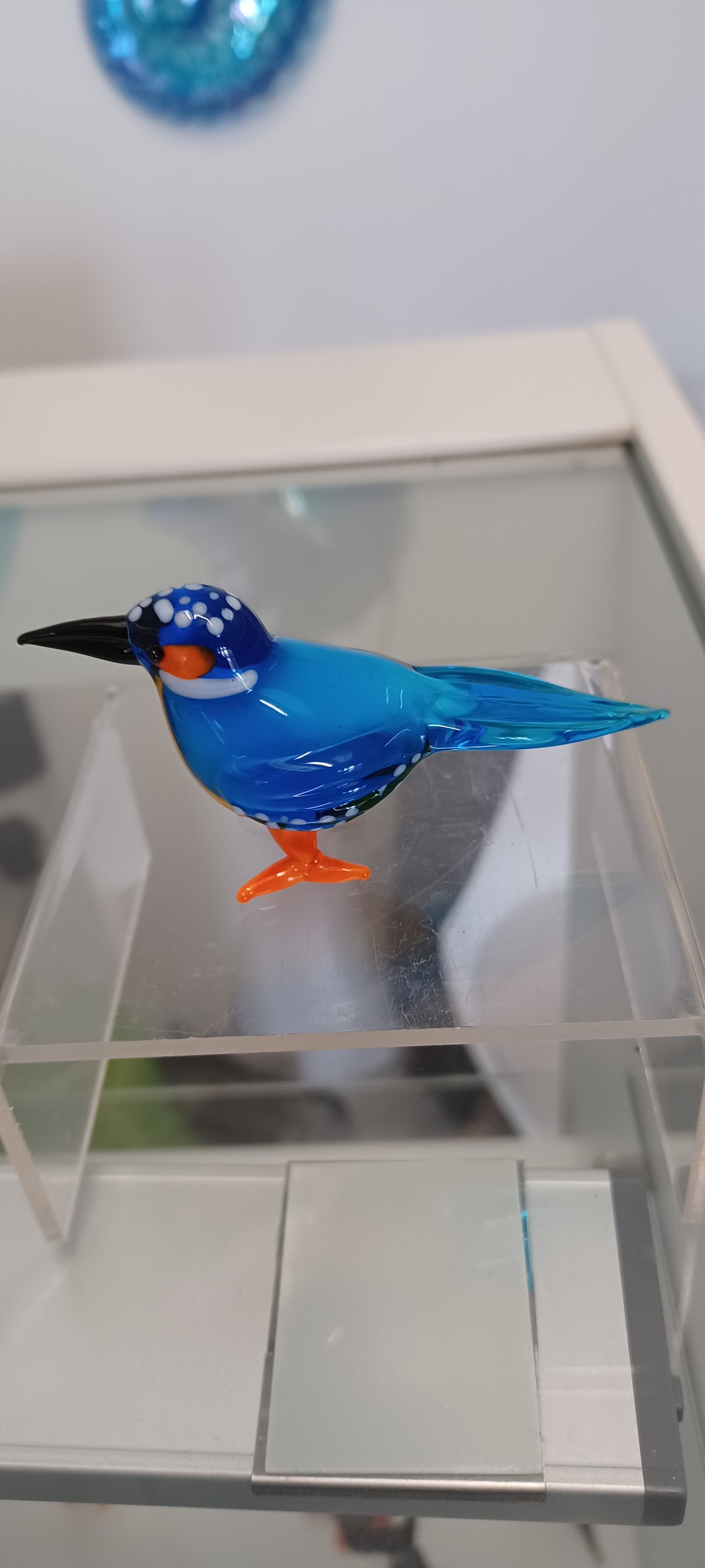 Glass Bird