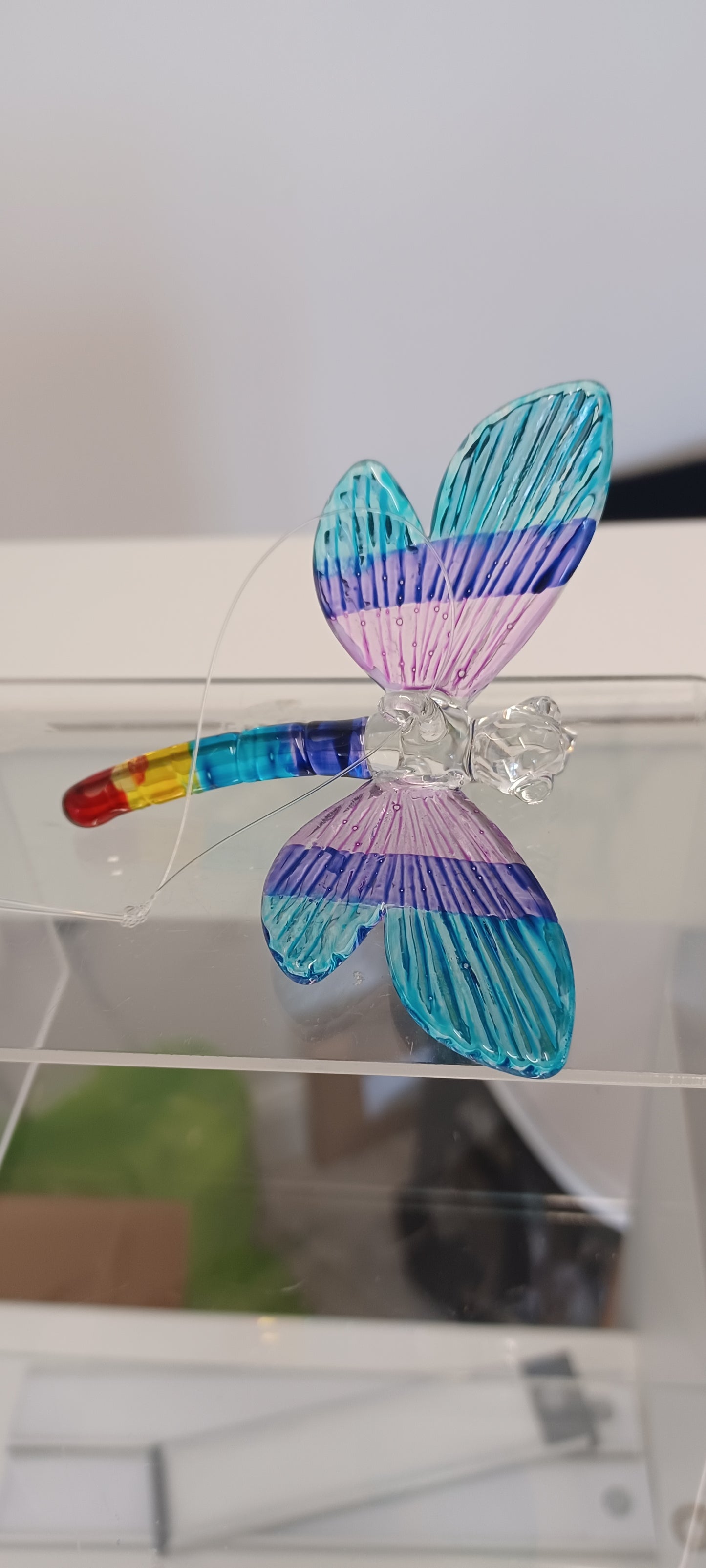 Glass Dragonfly