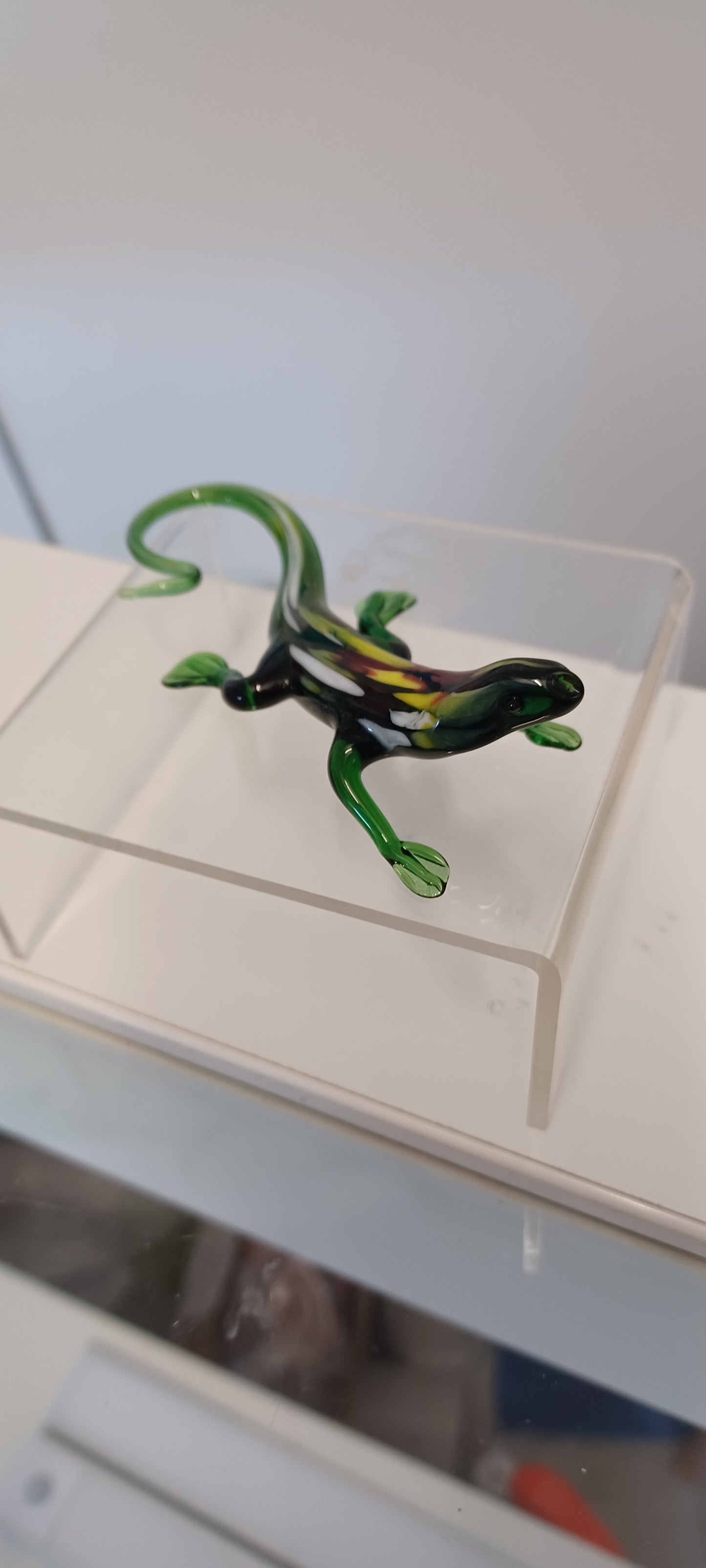 Glass lizard