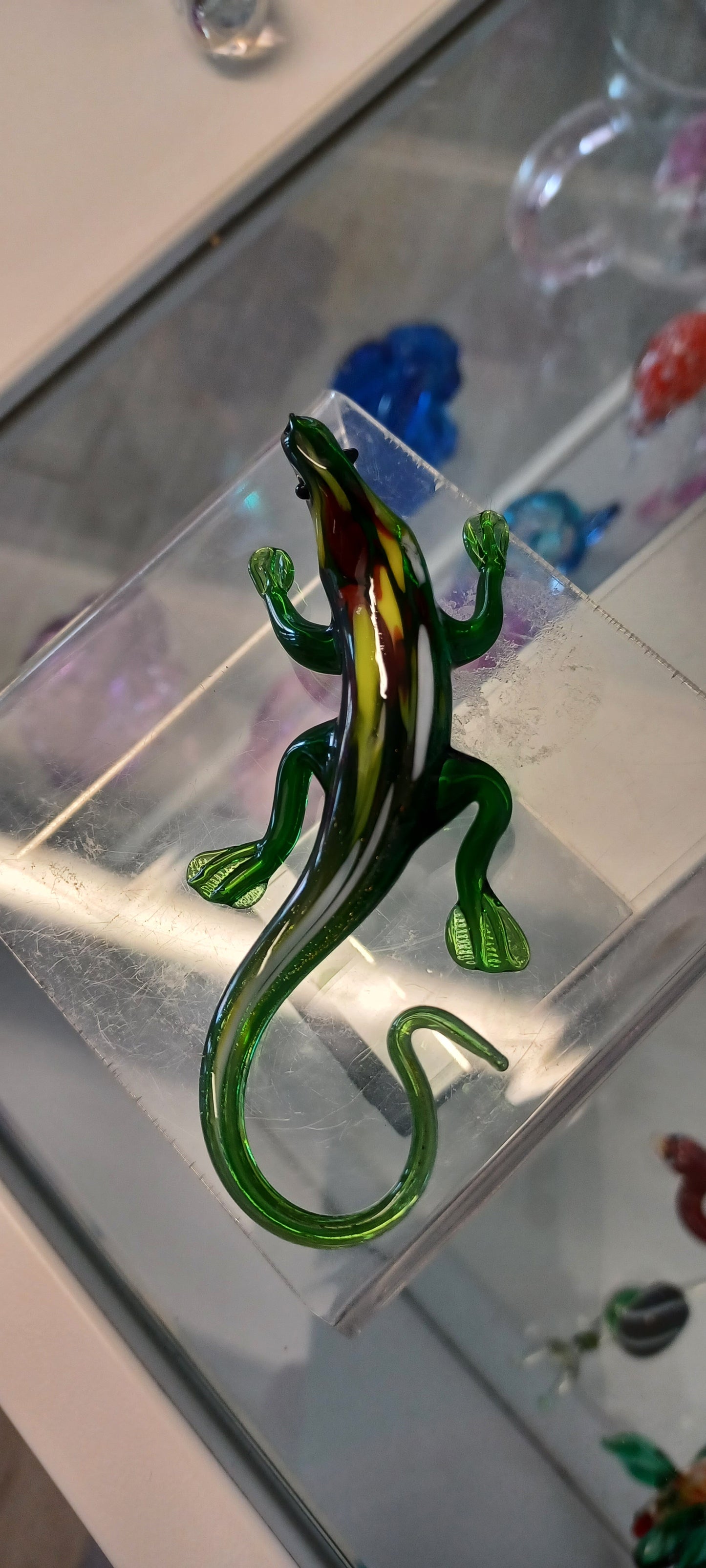 Glass lizard