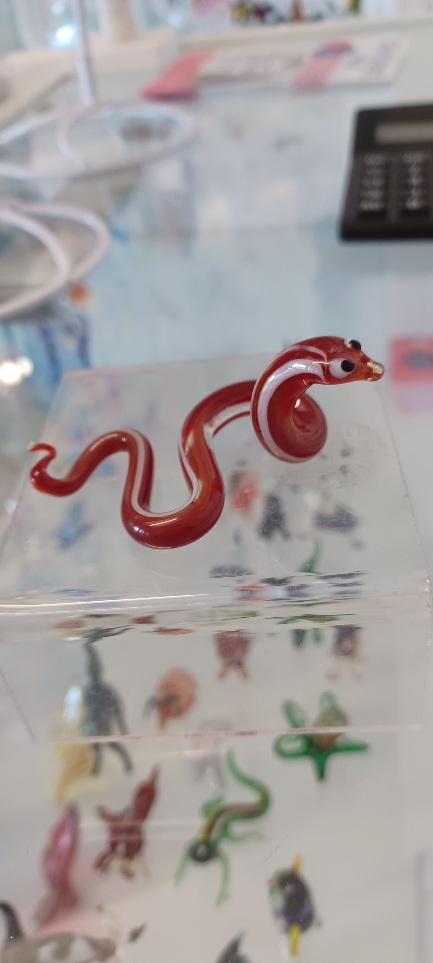 Glass Snake