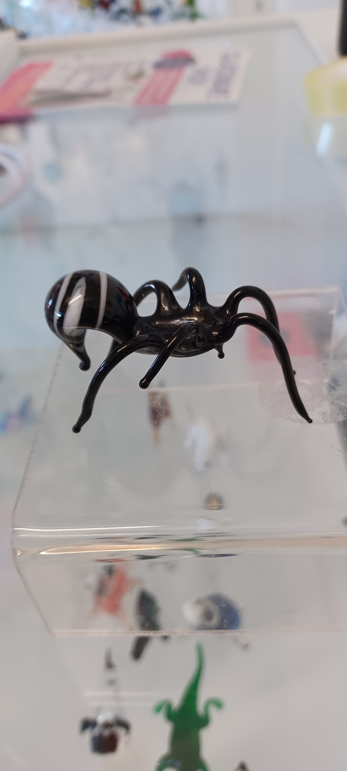 Glass Spider