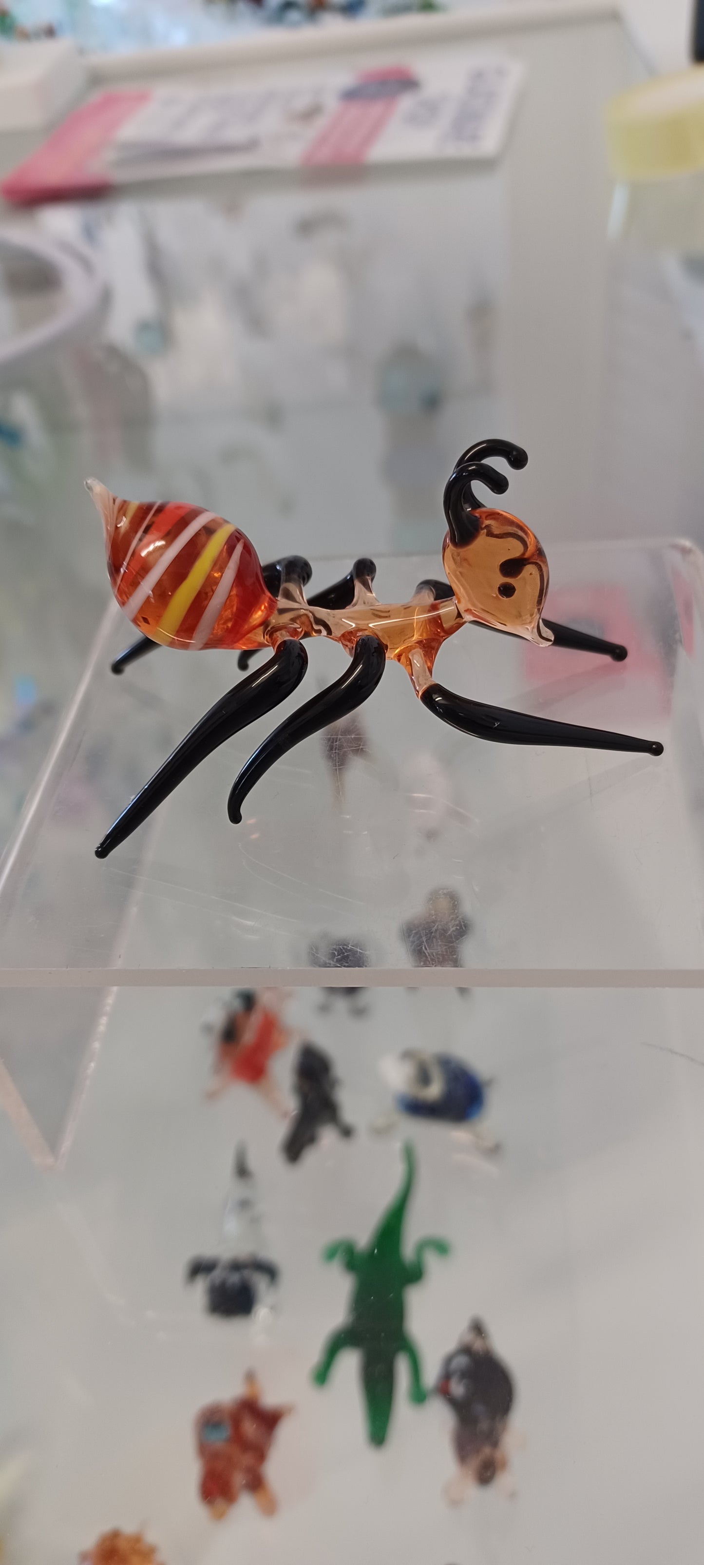 Glass Ant