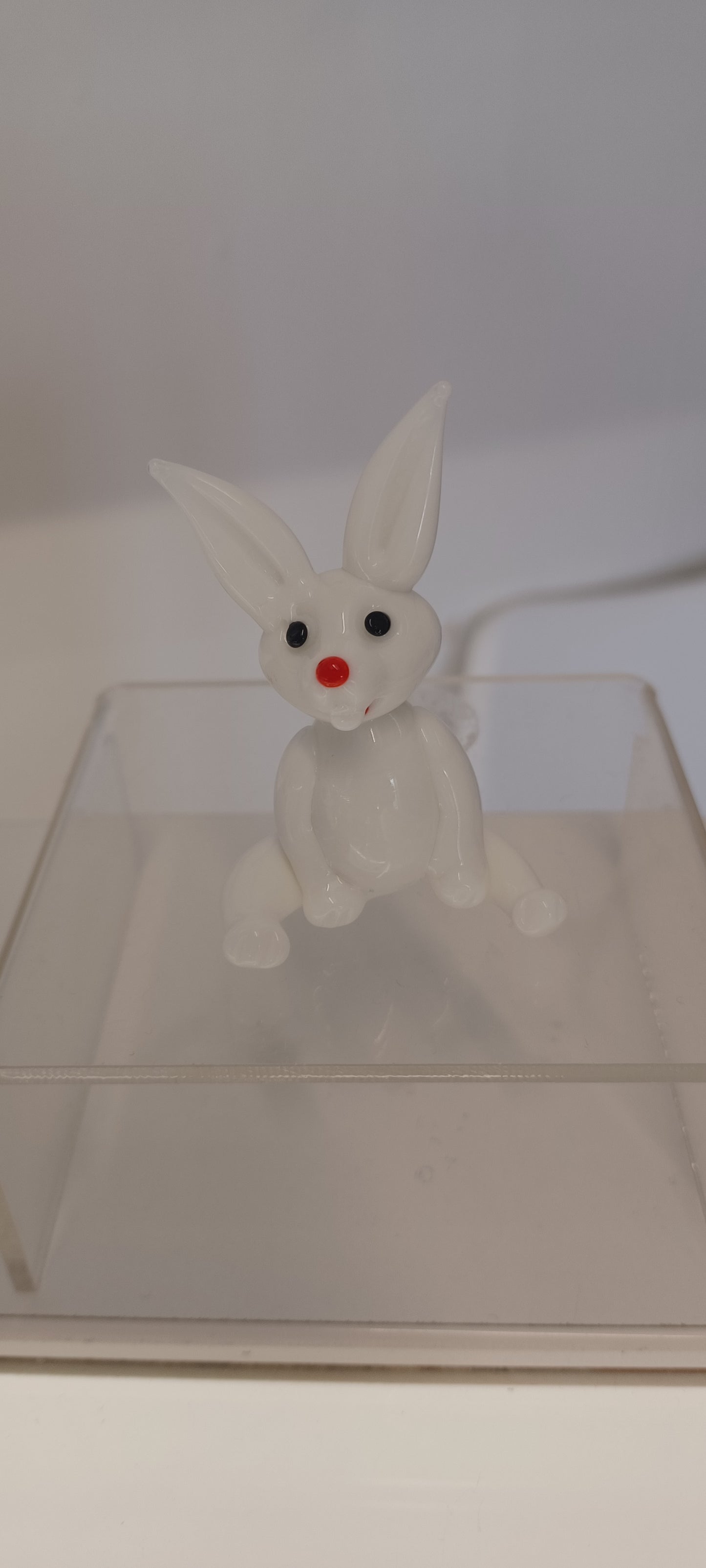 Glass Rabbit