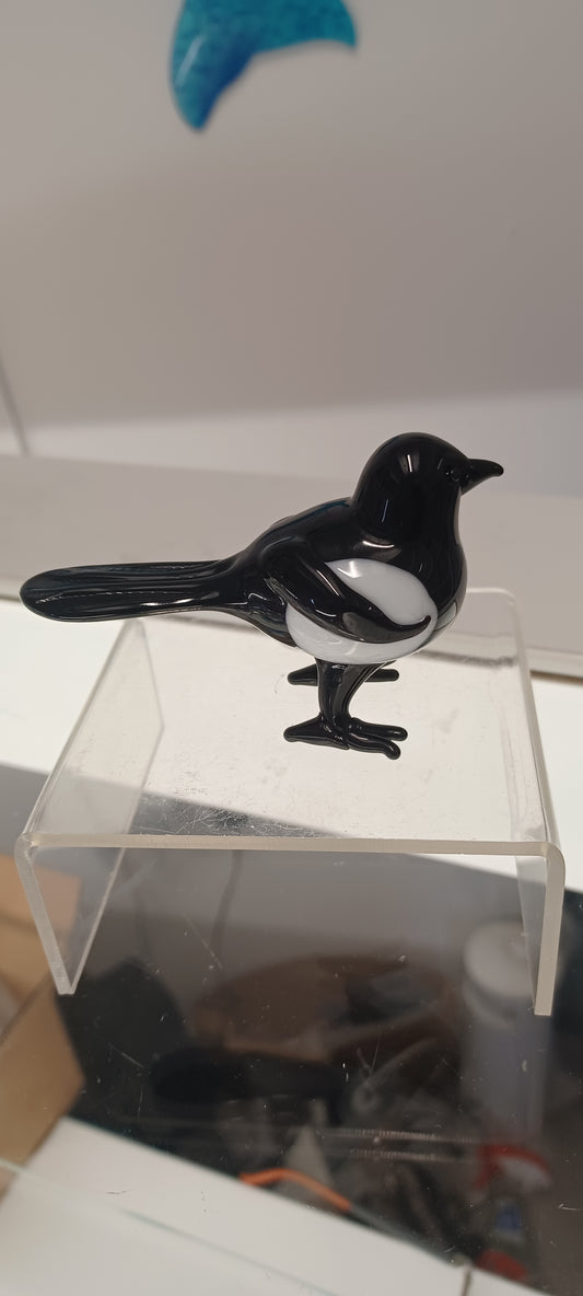 Glass Magpie