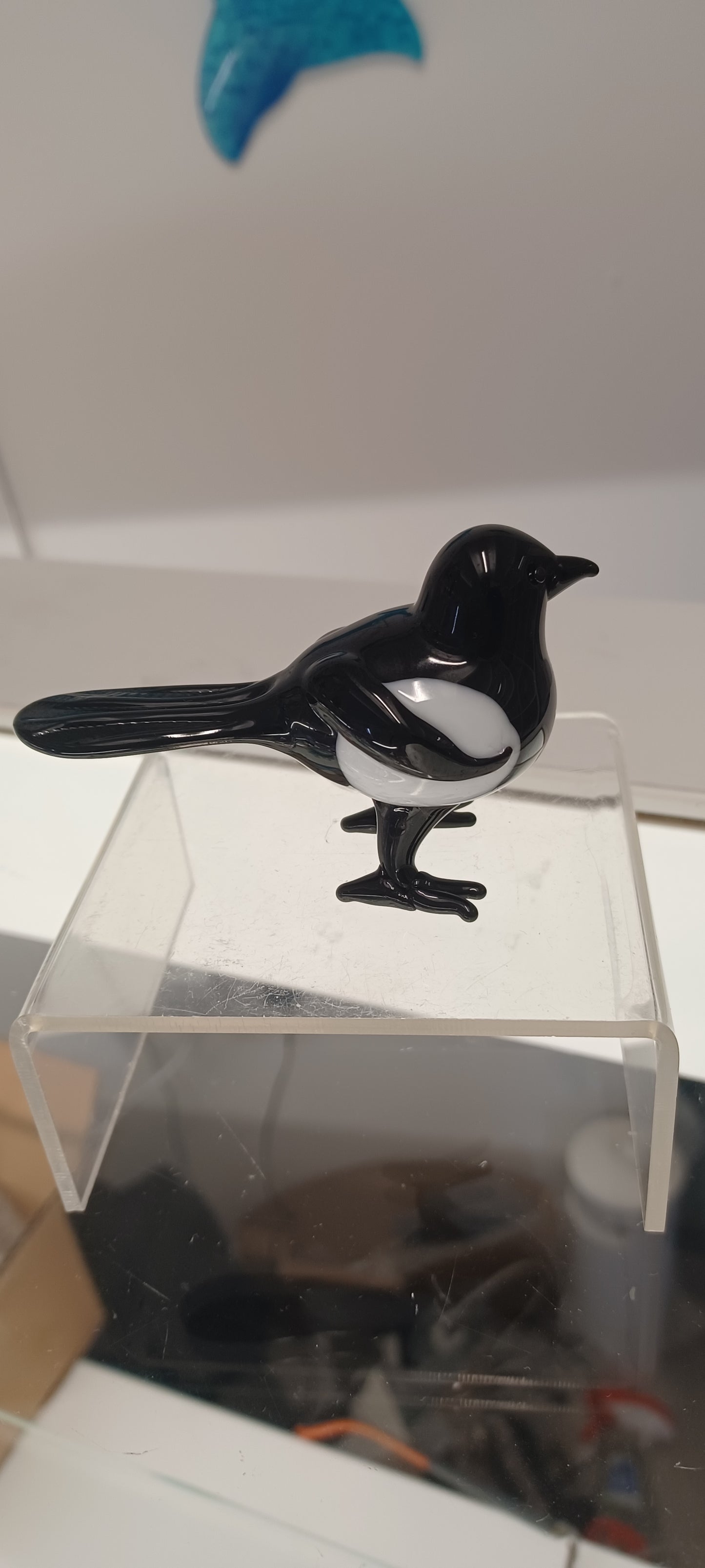 Glass Magpie