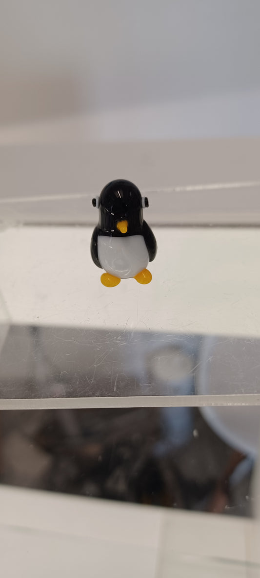 Glass Penguin