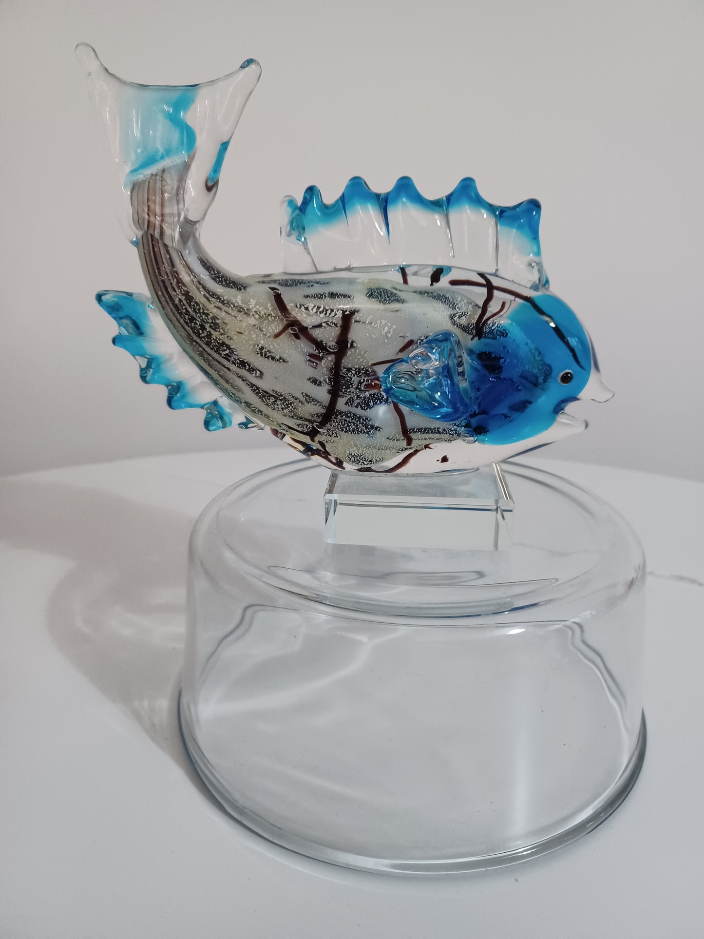 Glass Fish