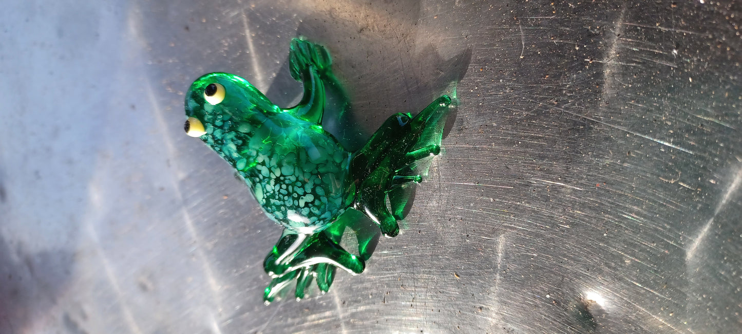 Glass Frog