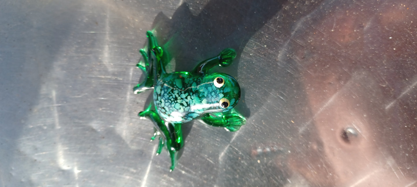 Glass Frog