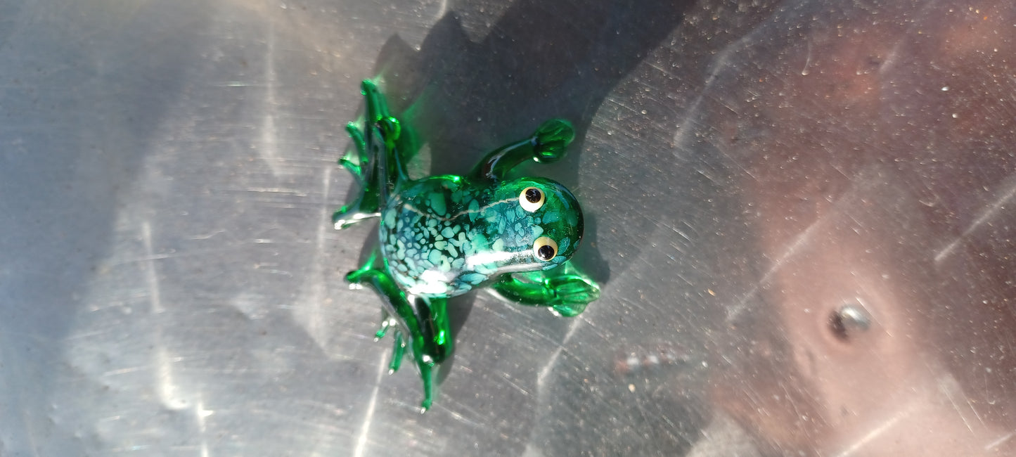 Glass Frog