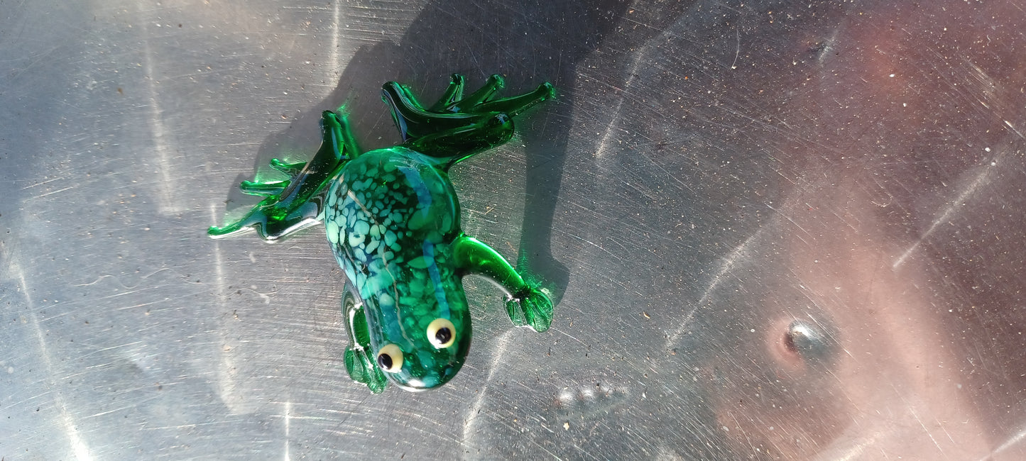 Glass Frog