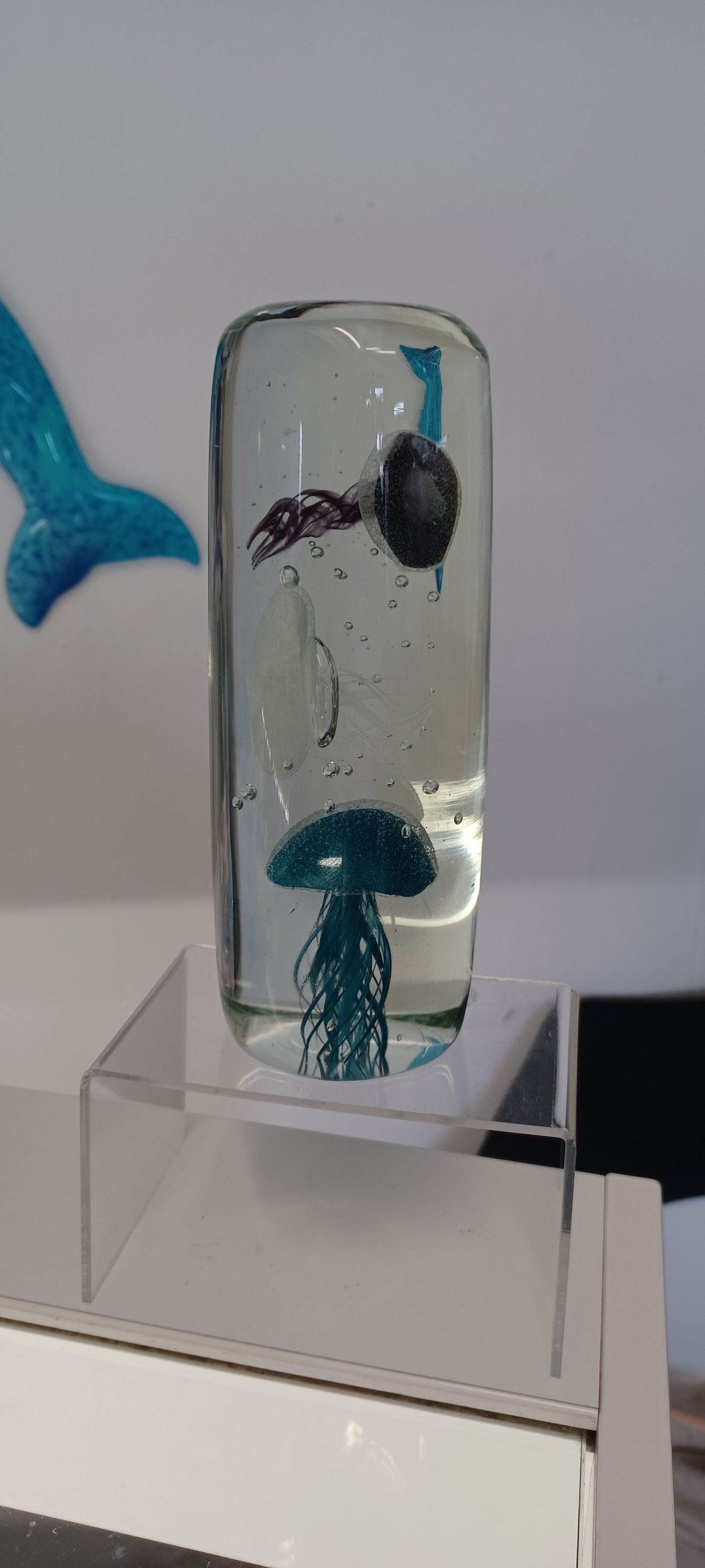 Jellyfish paperweight