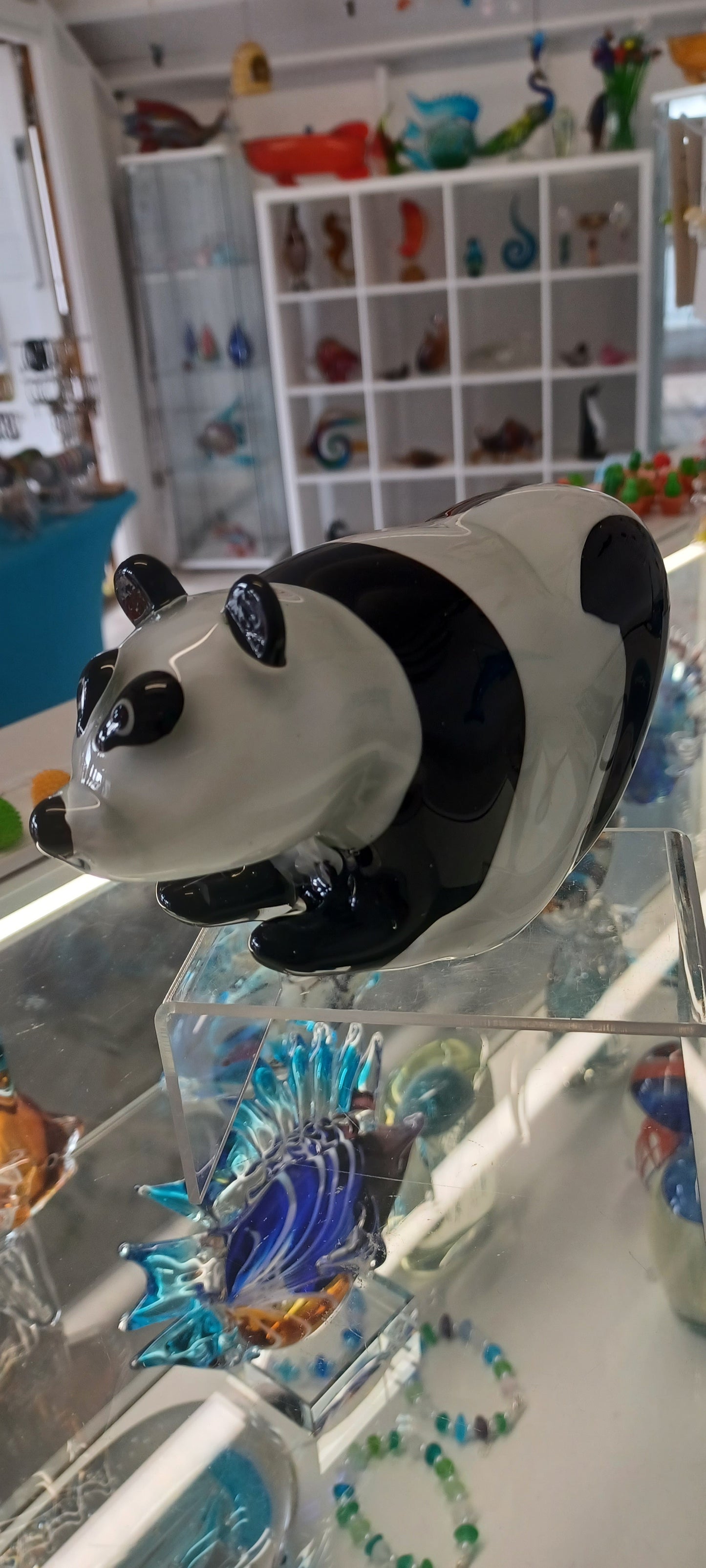 Glass Panda