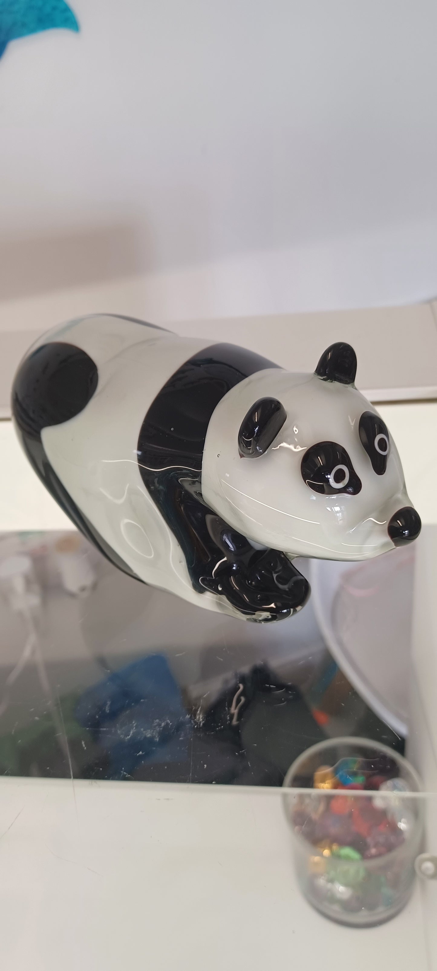 Glass Panda