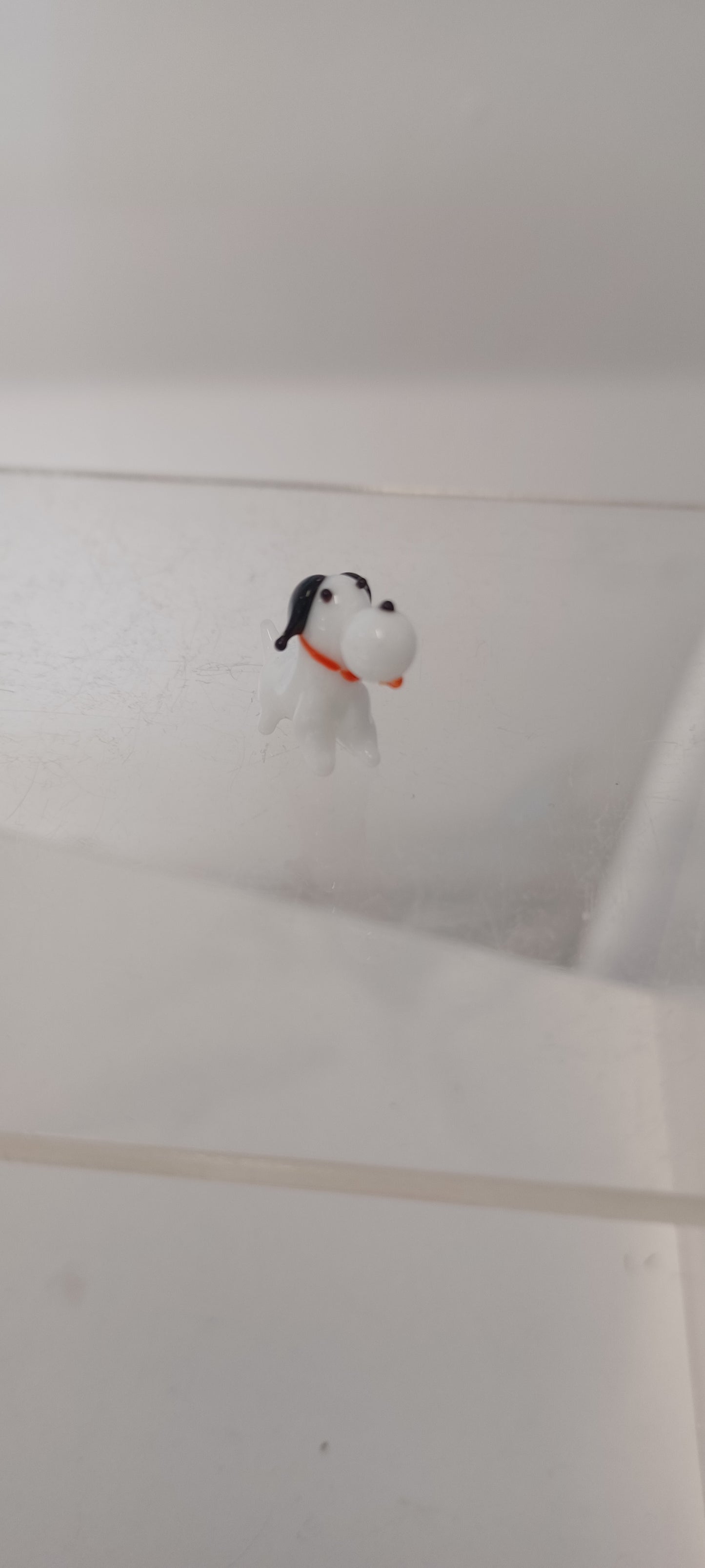 Glass Dog