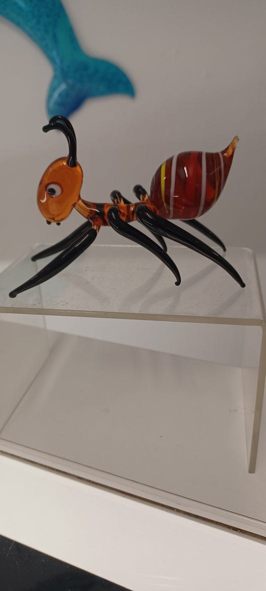 Glass Ant