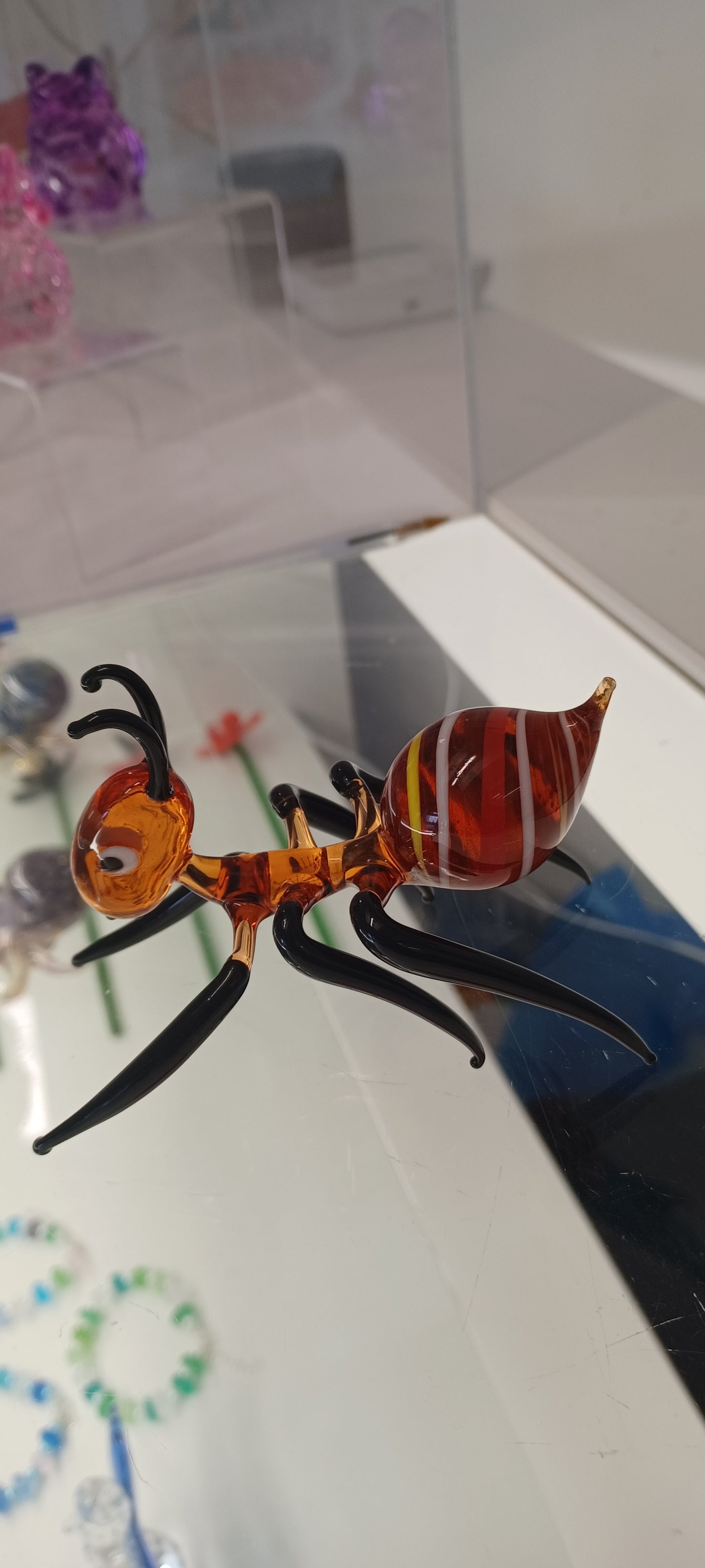Glass Ant