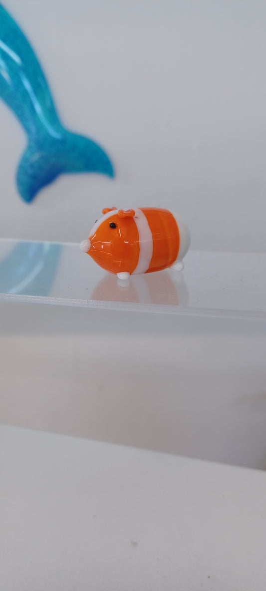 Glass Guinea pig