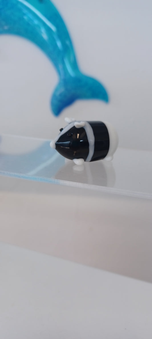 Glass Guinea pig