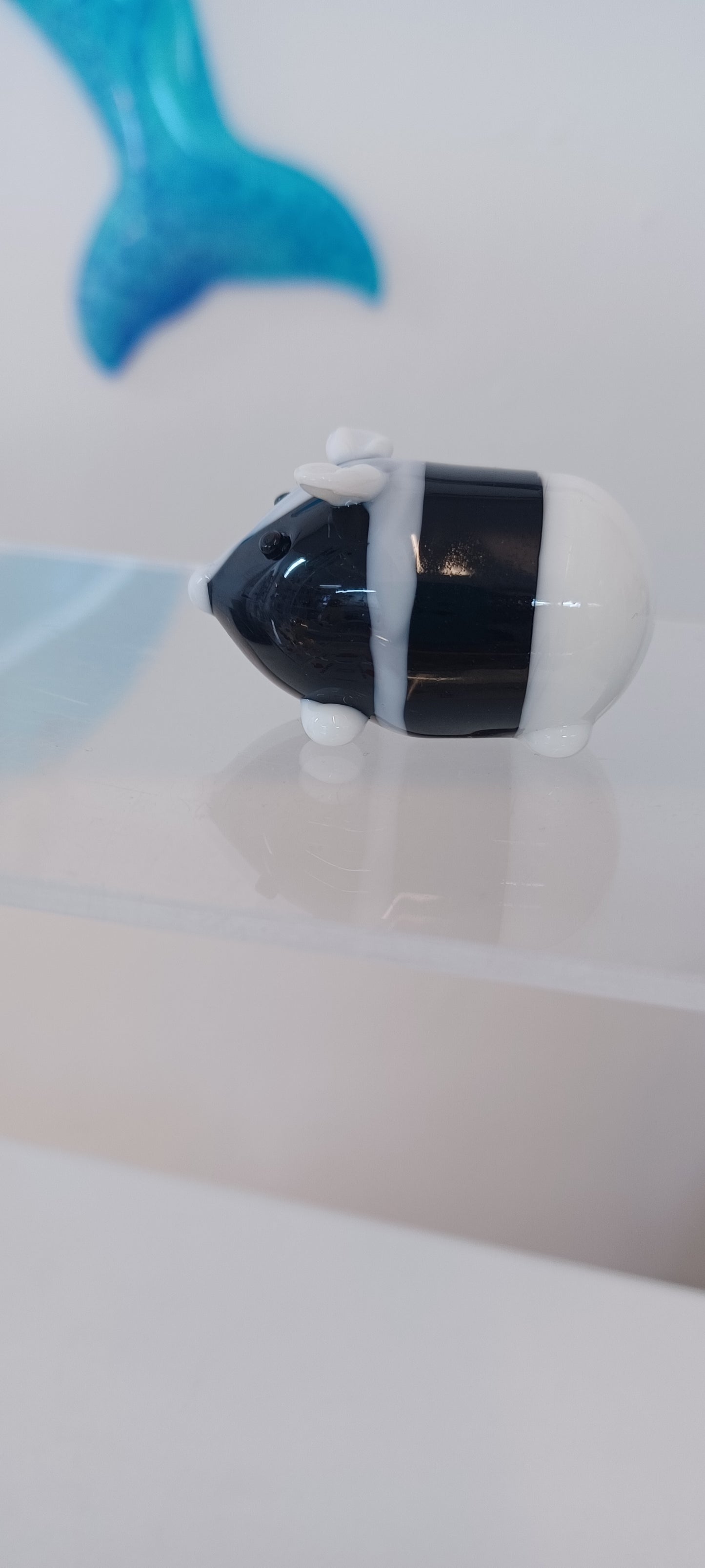 Glass Guinea pig