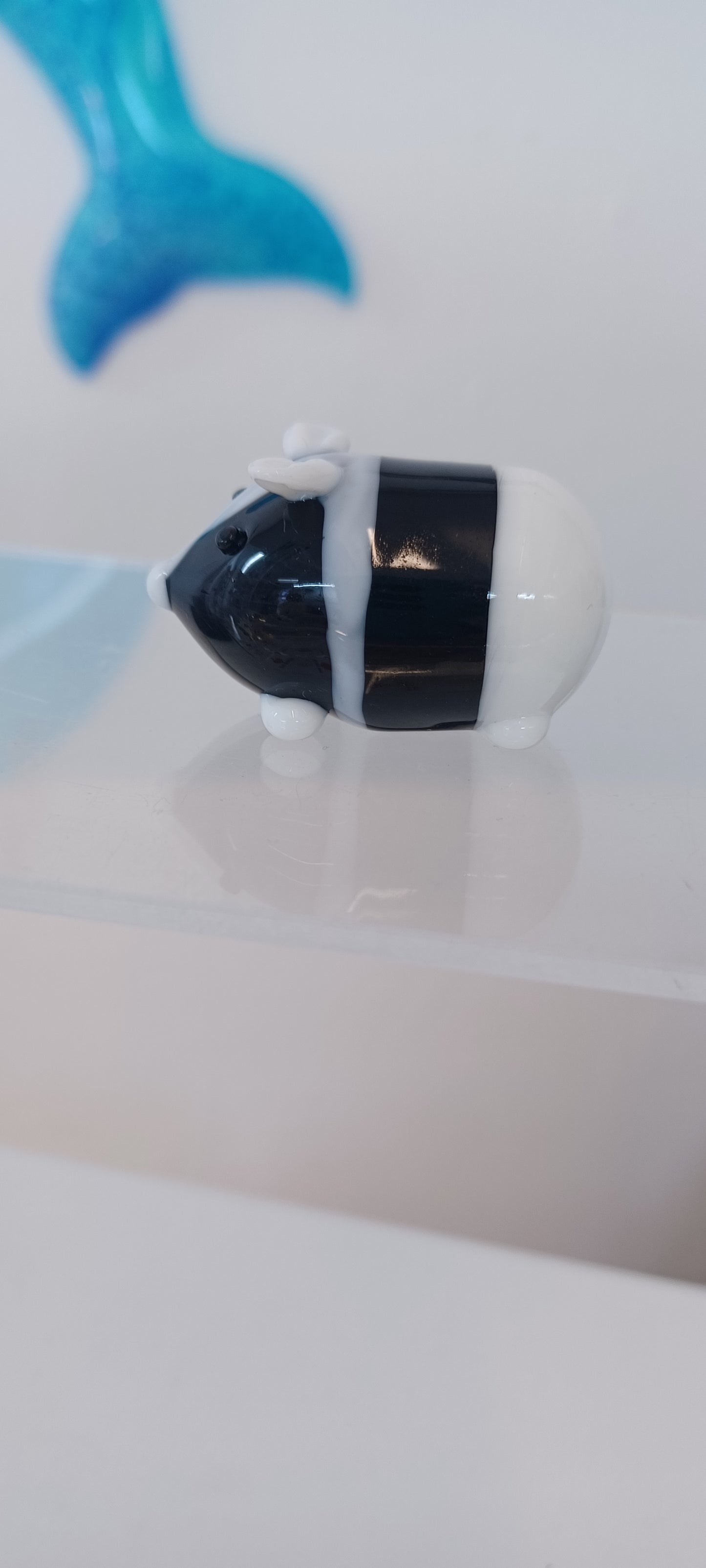 Glass Guinea pig