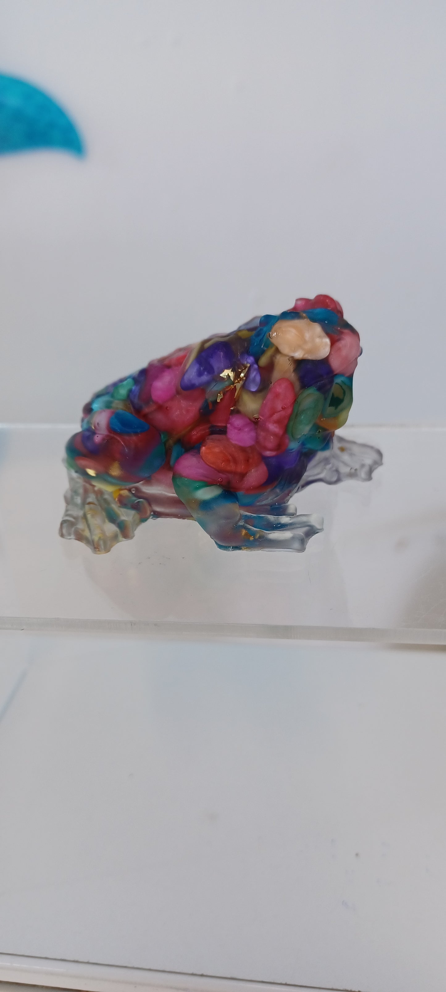 Toad