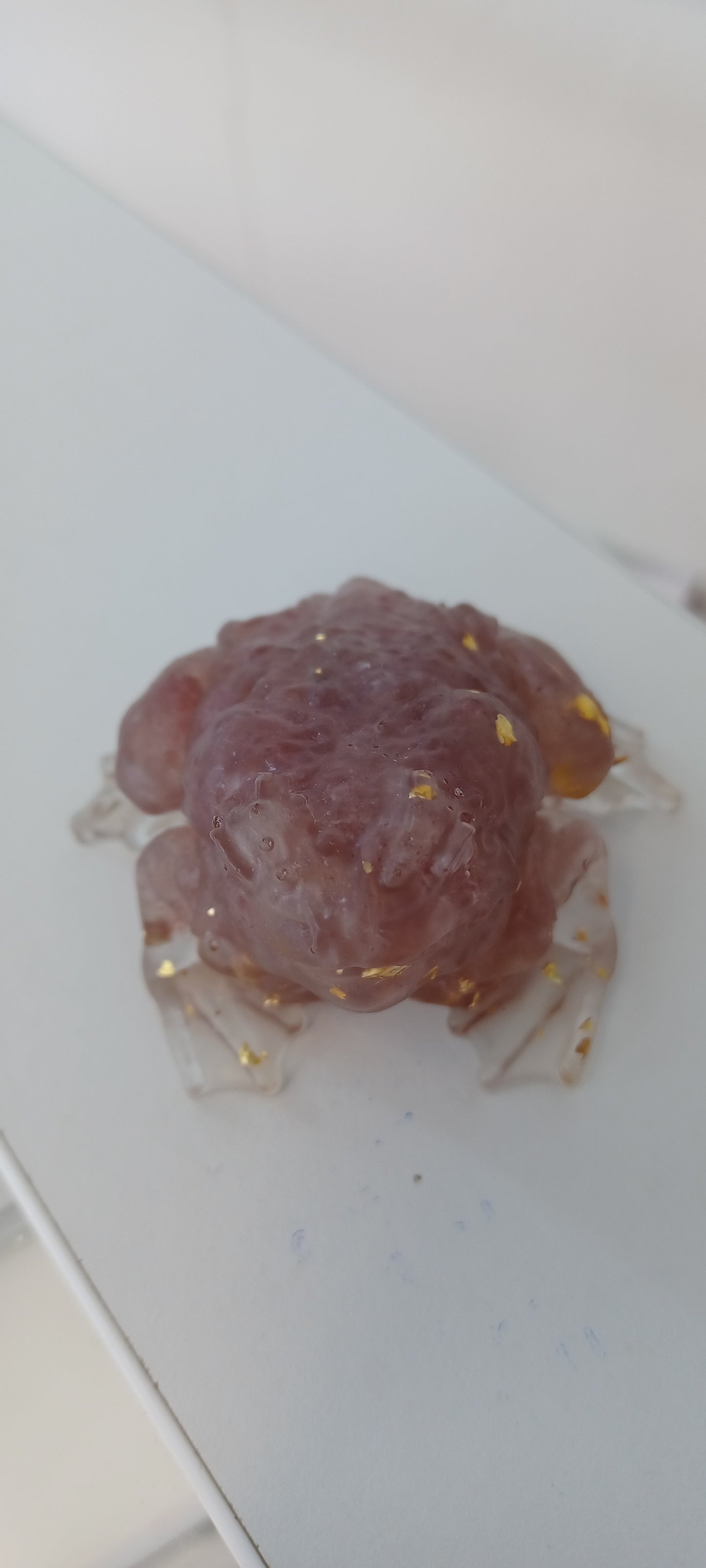Toad