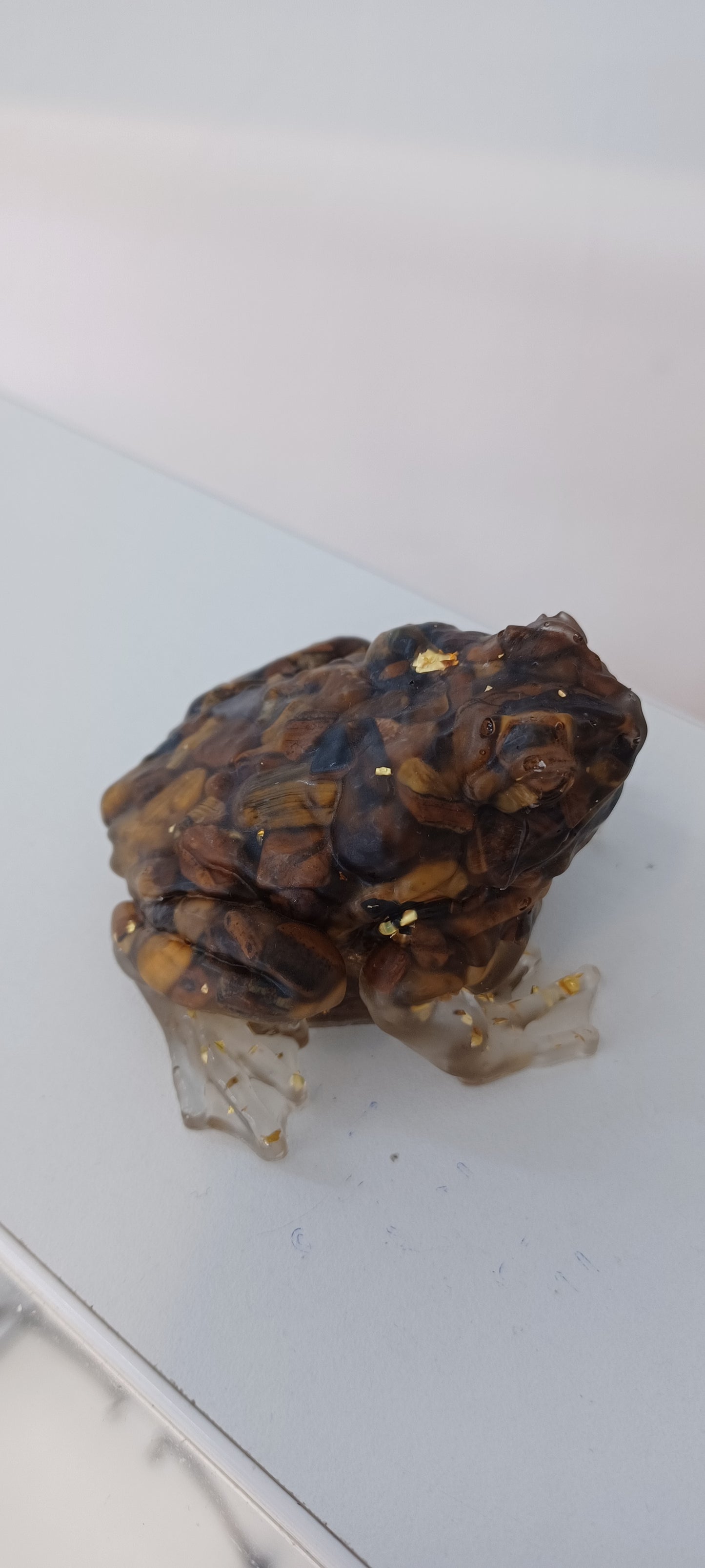 Toad