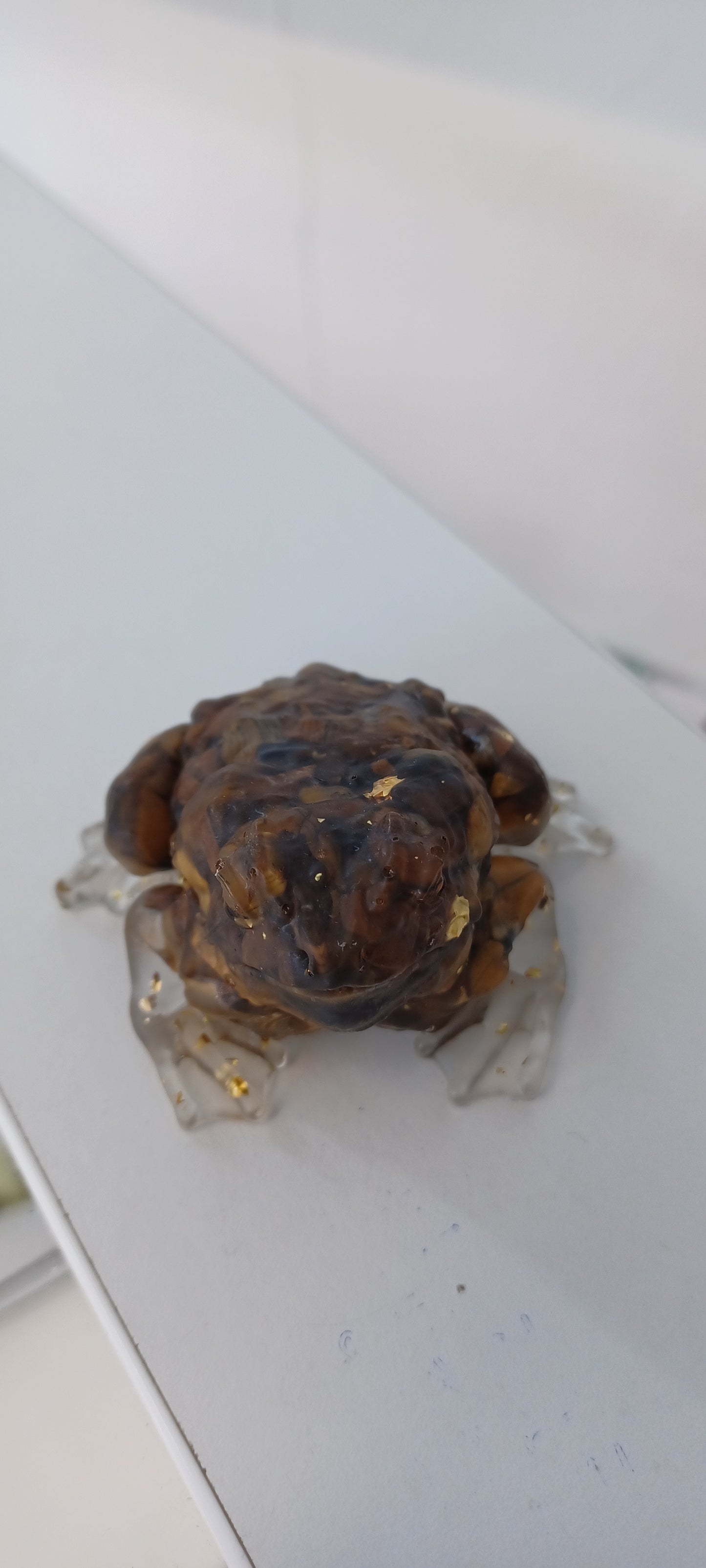 Toad
