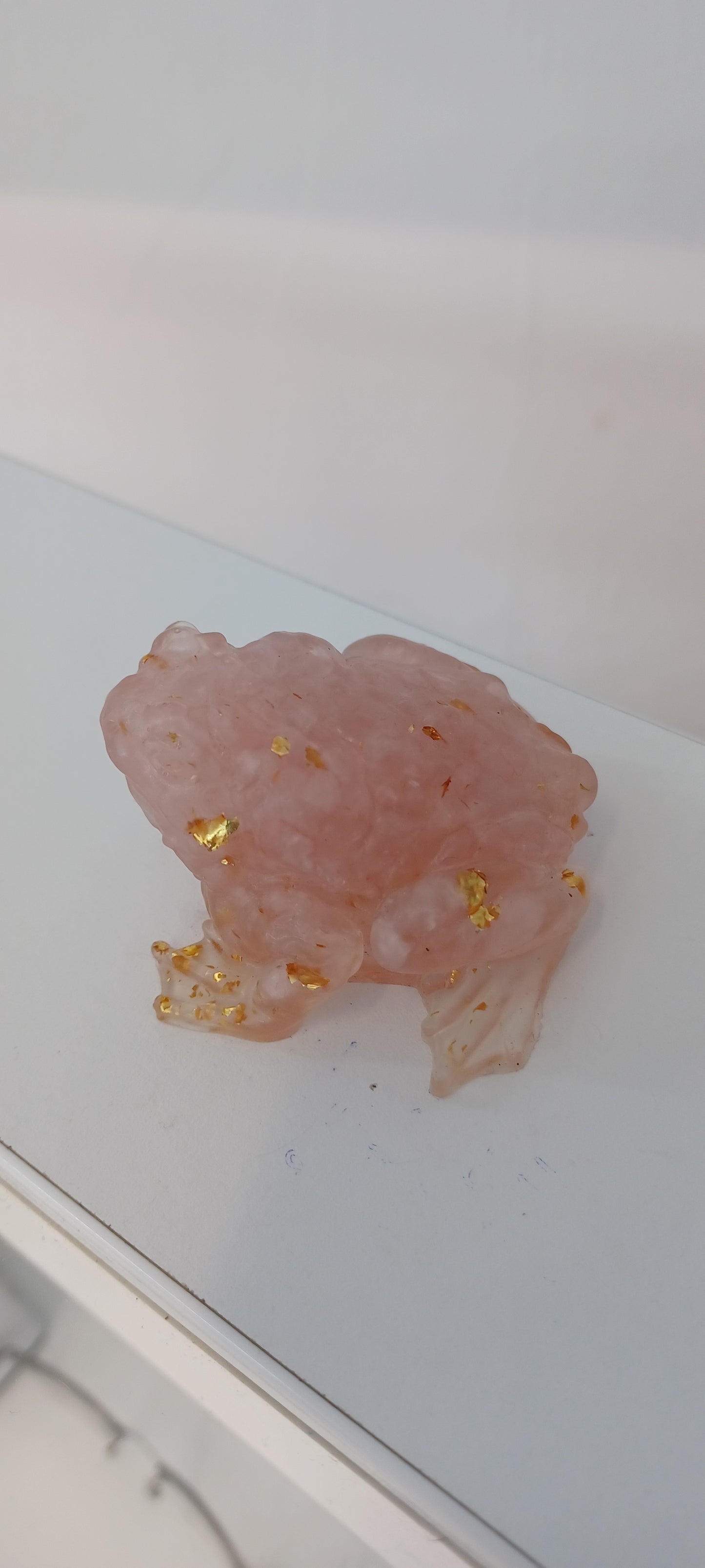 Toad