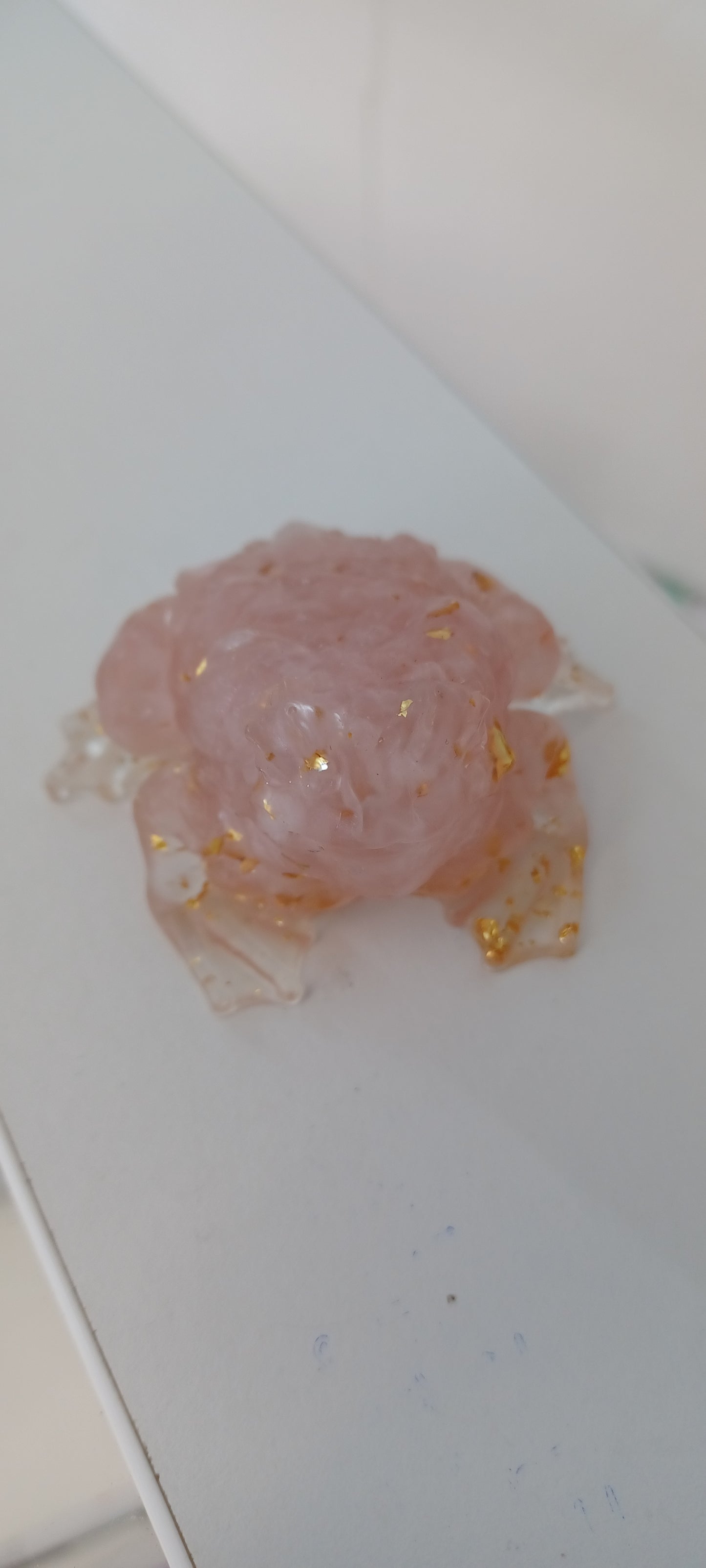 Toad