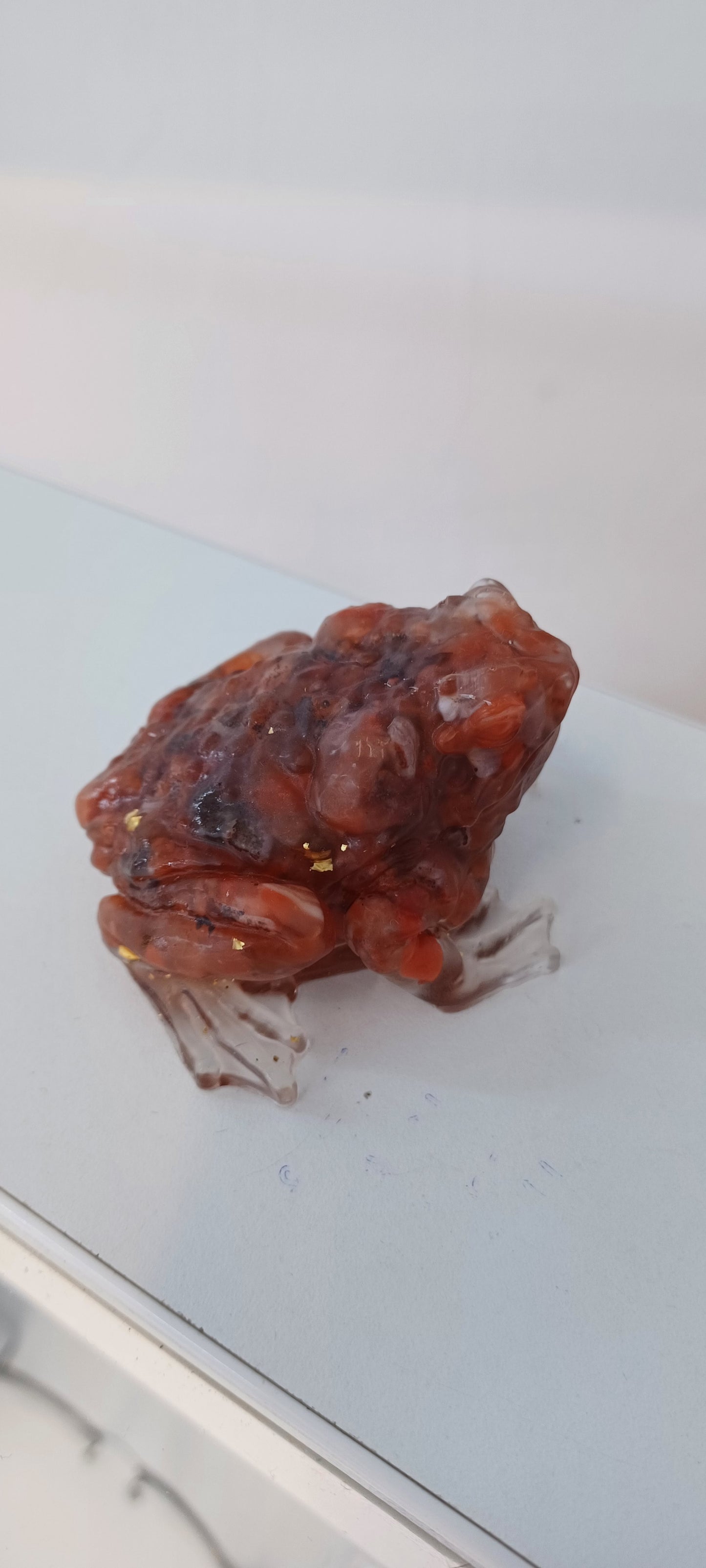Toad
