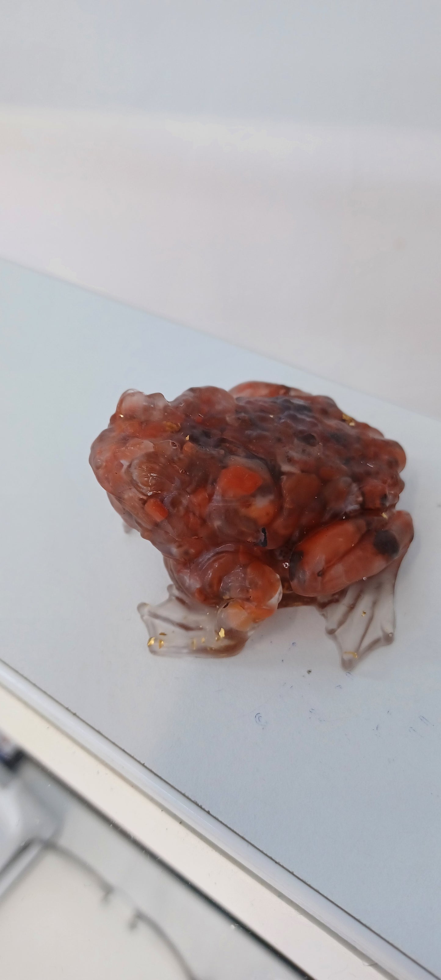 Toad