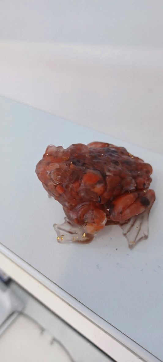 Toad